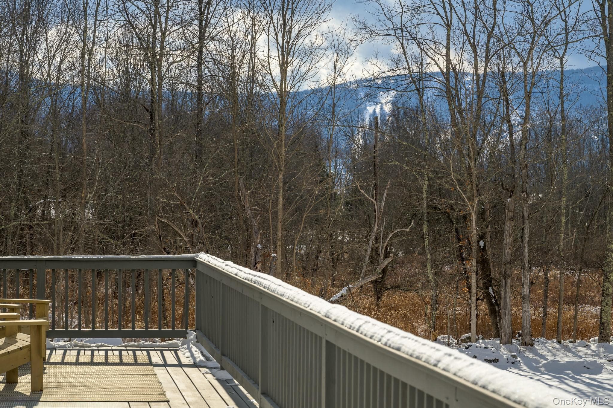 305 Mitchell Hollow Road thumbnail 39