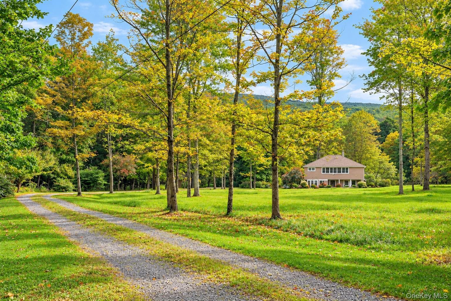 63 Knapp Hollow Lane thumbnail 26
