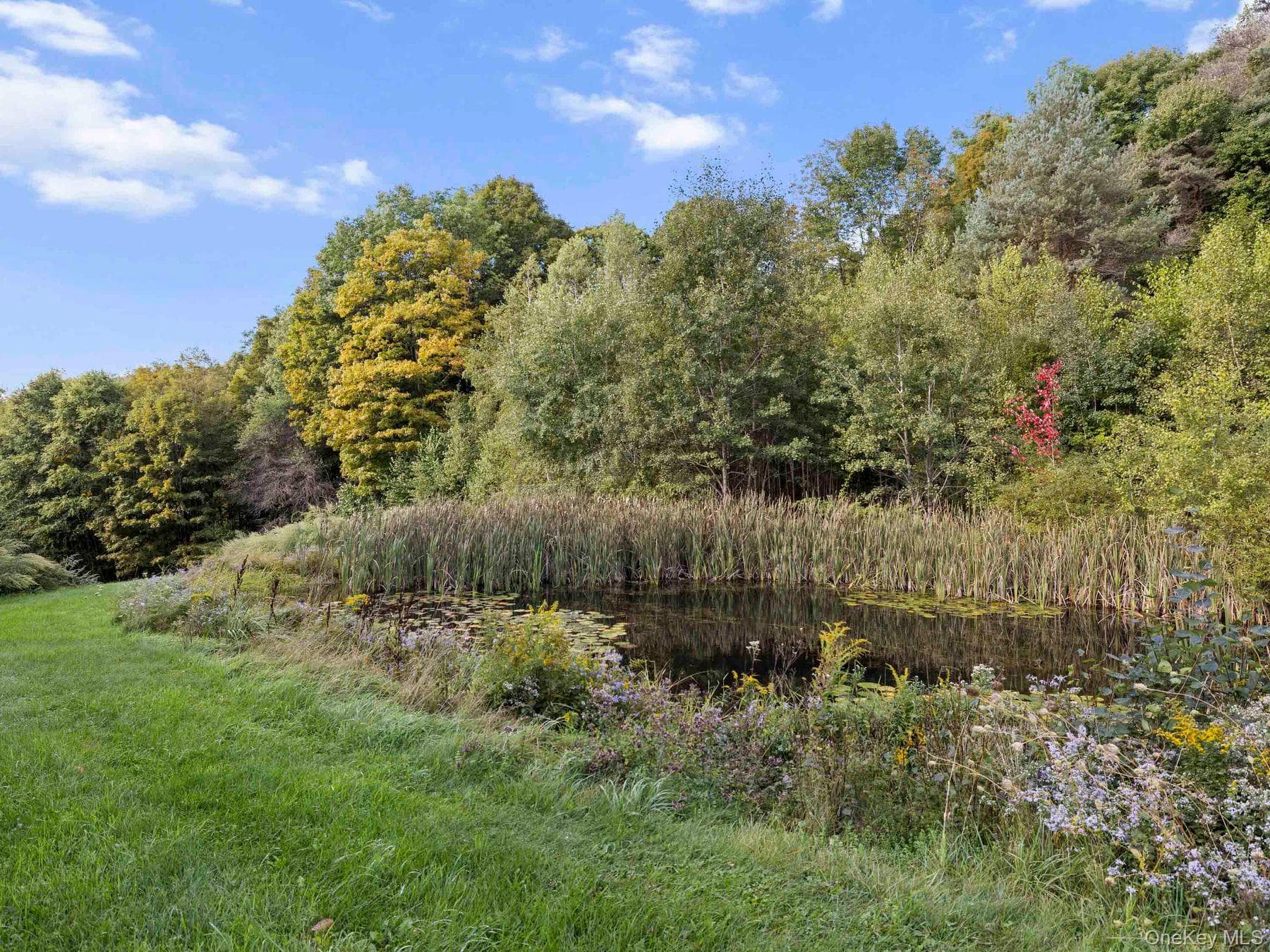 495 William Beers Road thumbnail 31