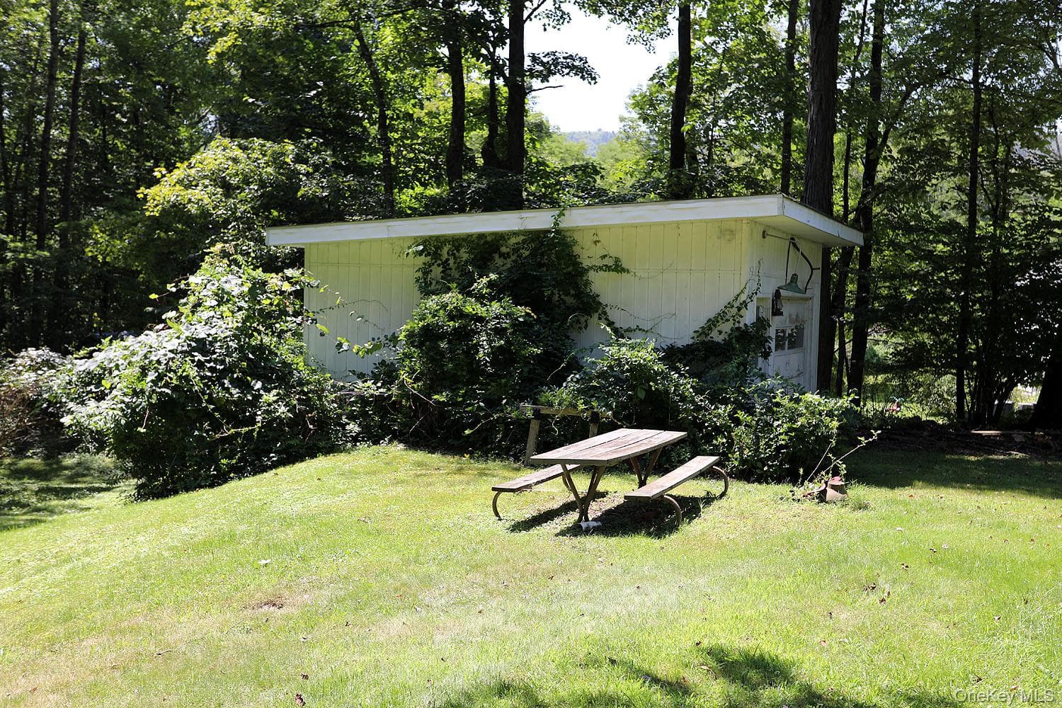 66 Raspberry Park Road thumbnail 9