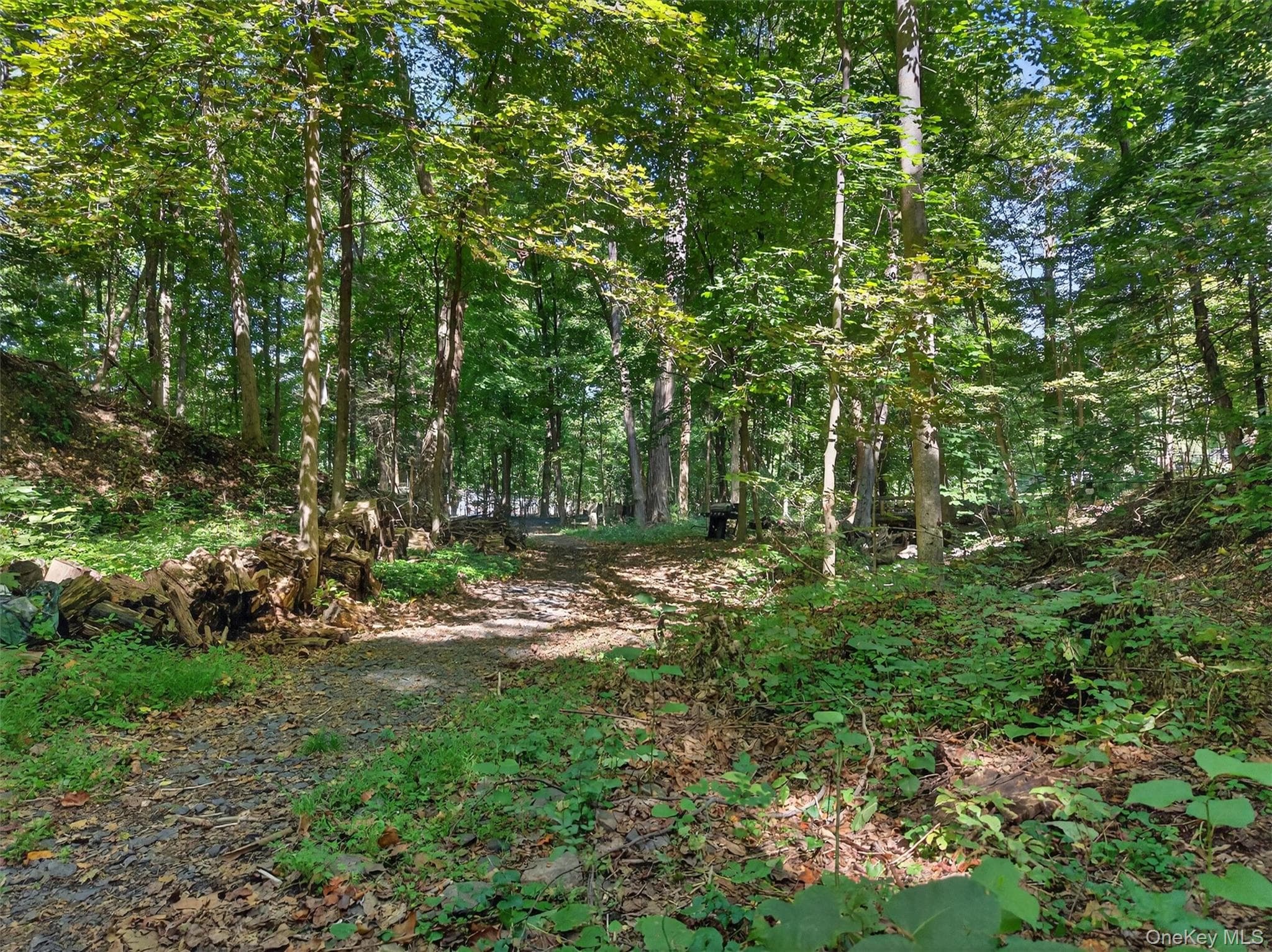 331 Mountain Lodge Road thumbnail 23