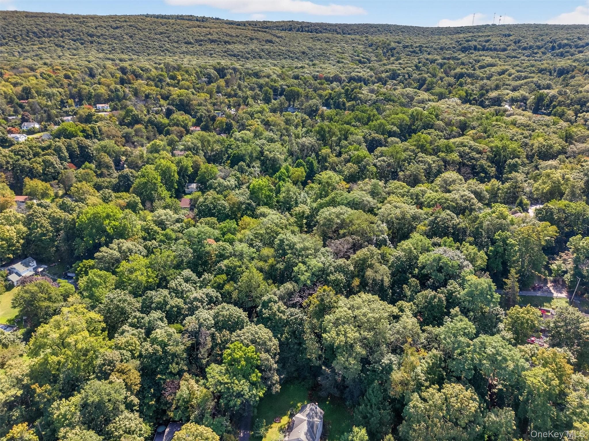 331 Mountain Lodge Road thumbnail 44