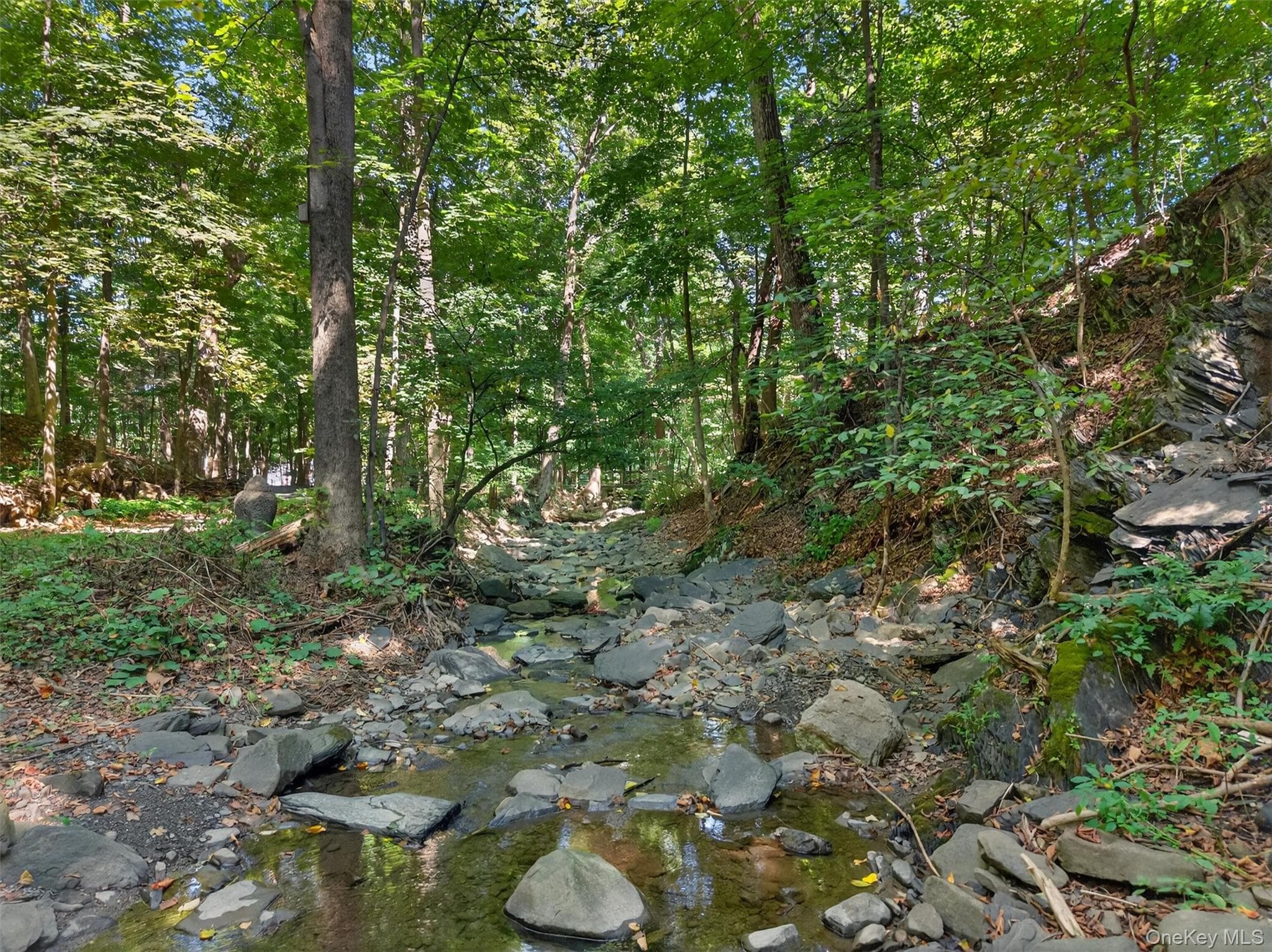 331 Mountain Lodge Road thumbnail 33