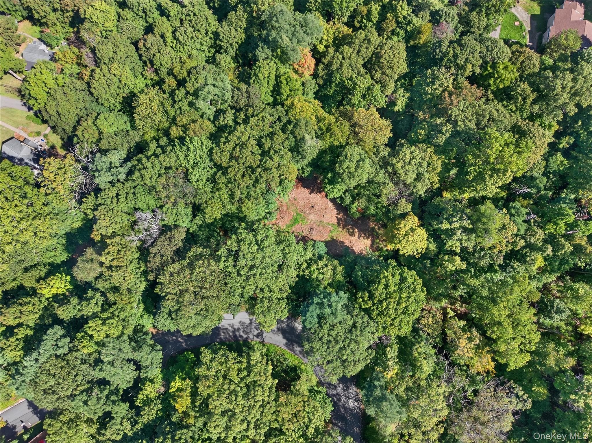331 Mountain Lodge Road thumbnail 48