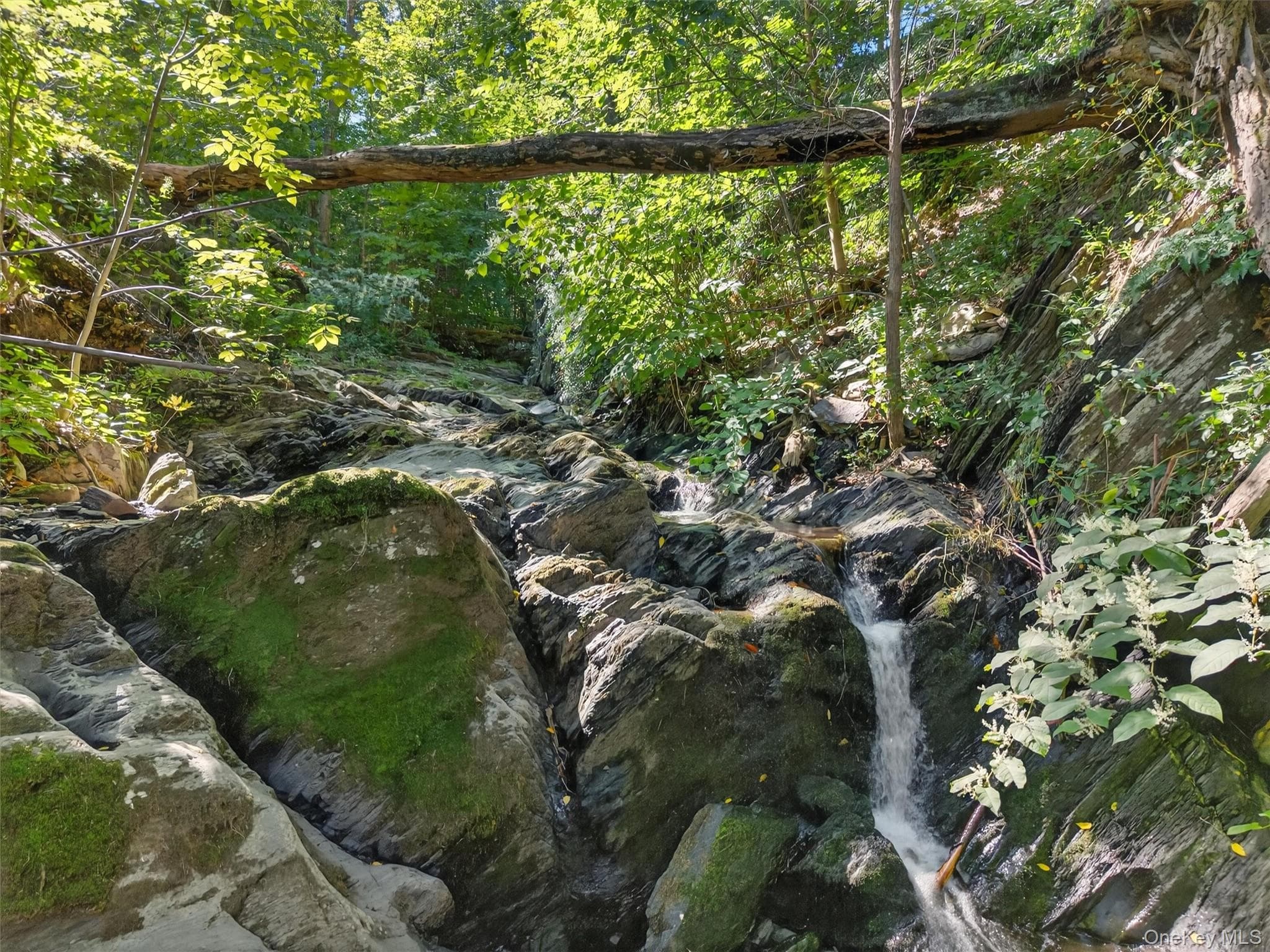 331 Mountain Lodge Road thumbnail 9