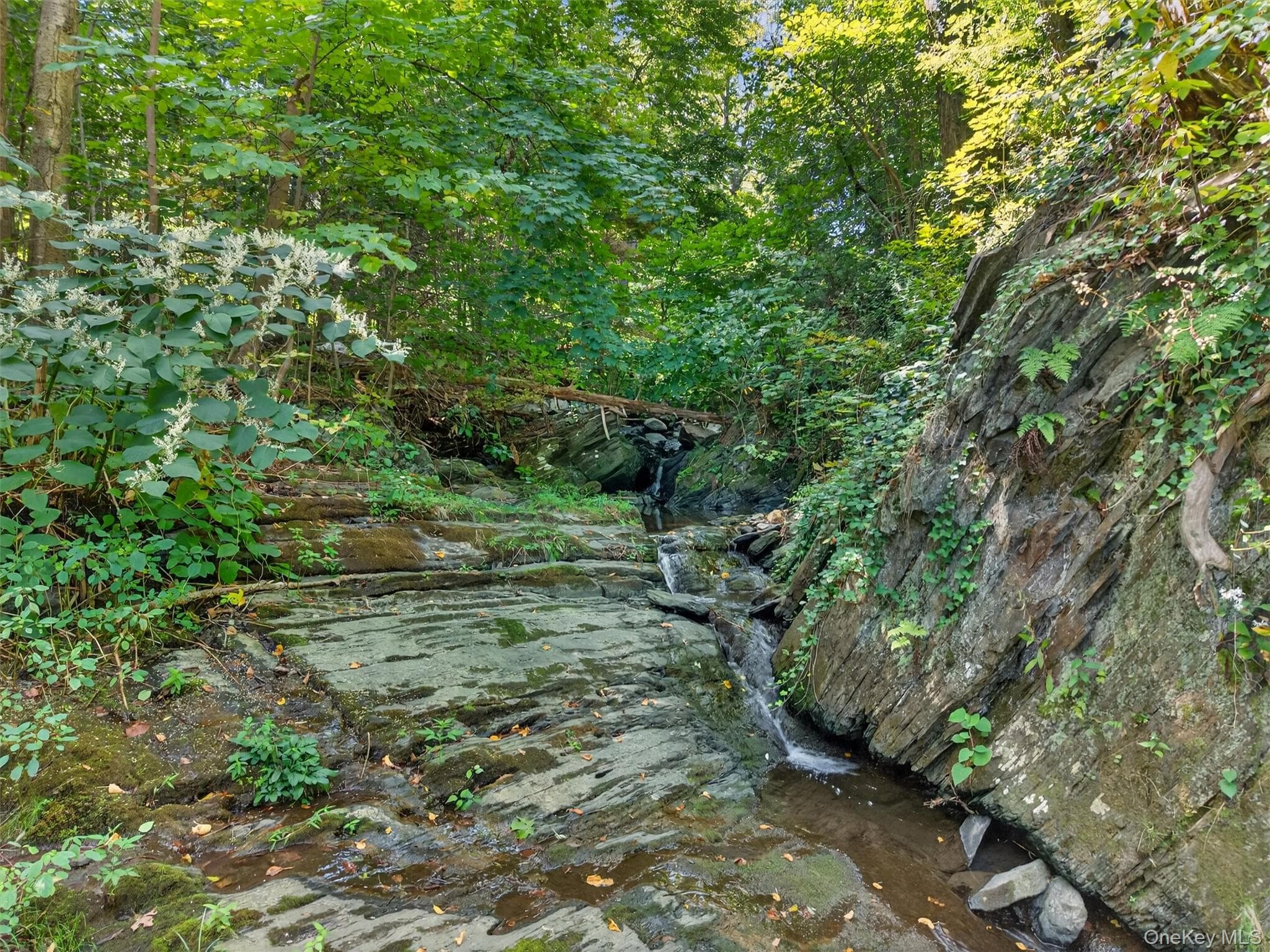 331 Mountain Lodge Road thumbnail 10