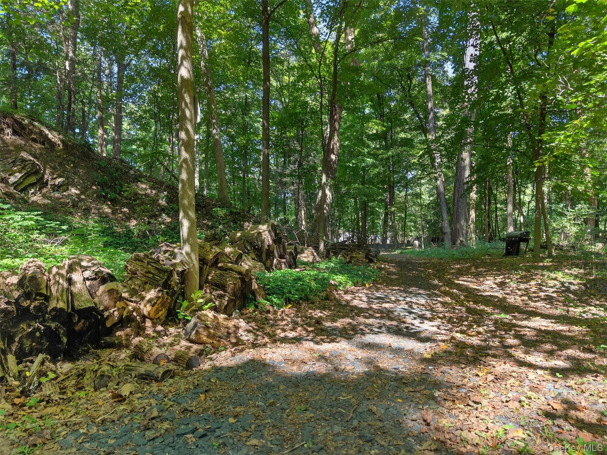 331 Mountain Lodge Road thumbnail 24