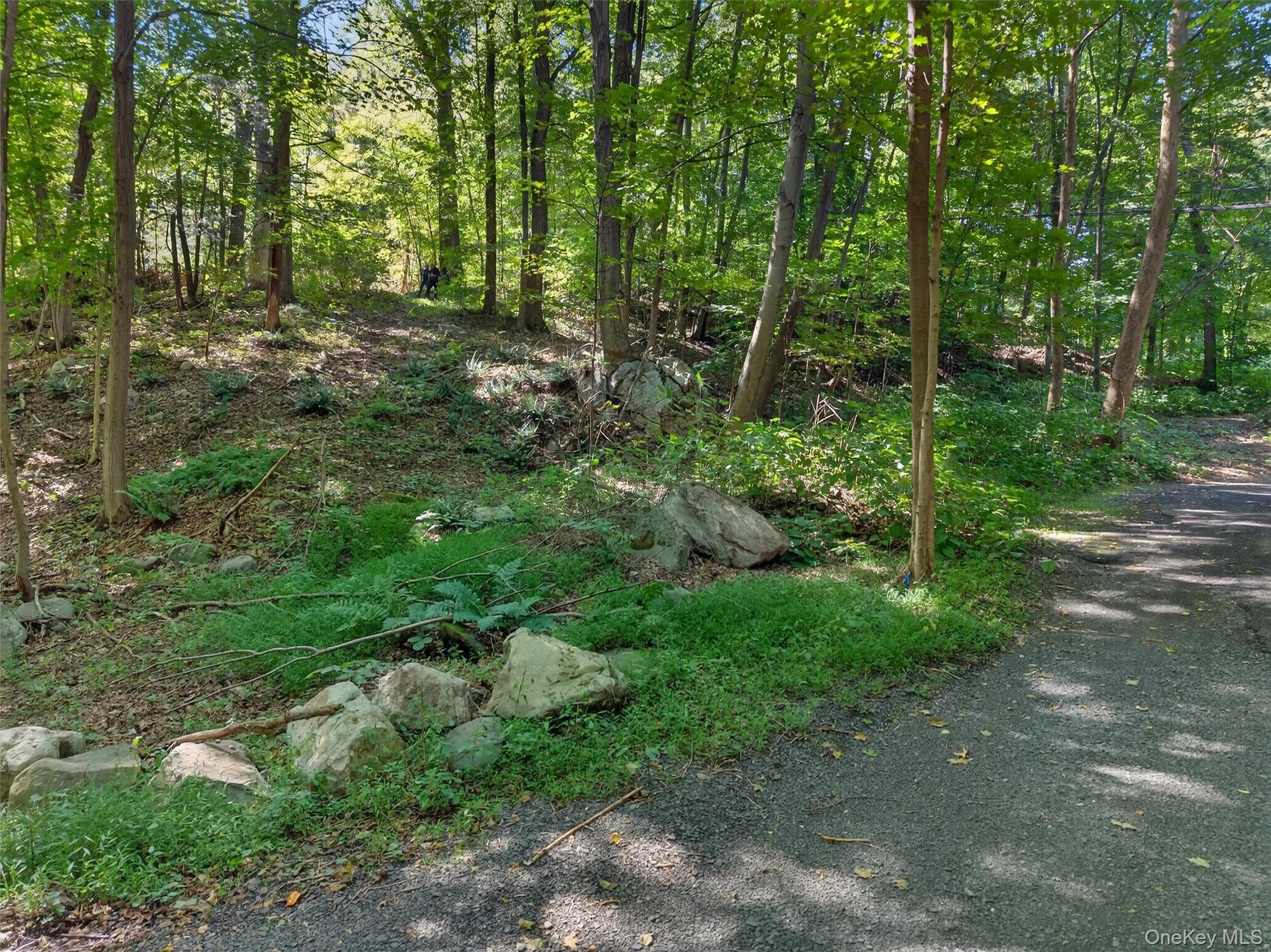 331 Mountain Lodge Road thumbnail 35
