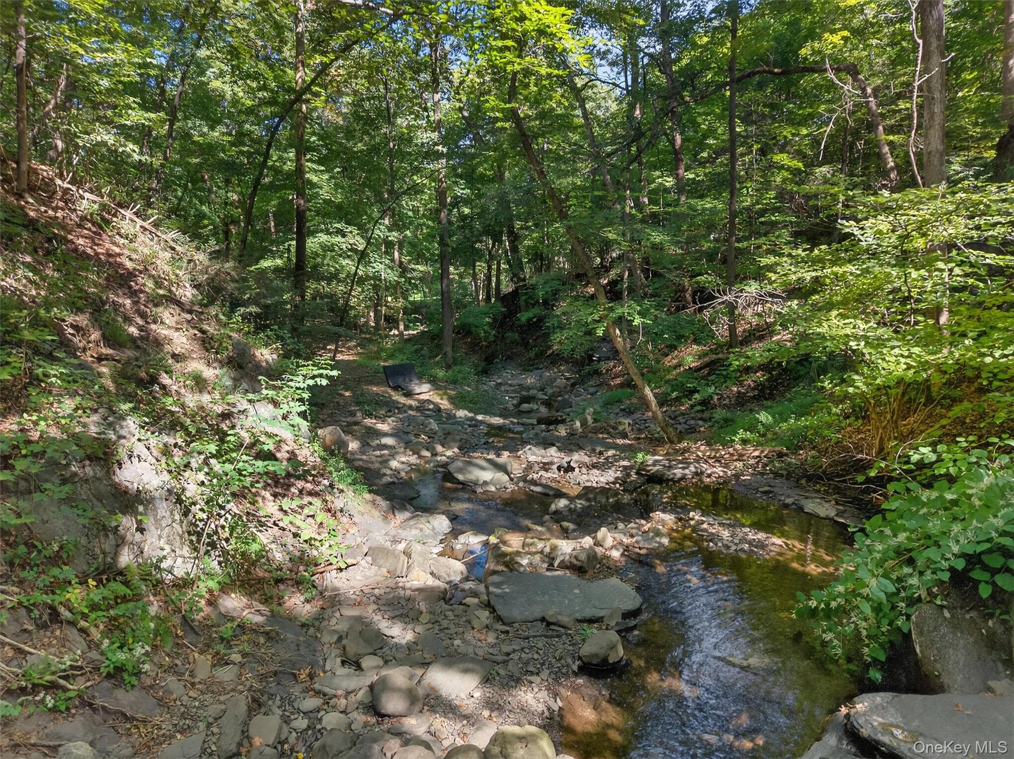 331 Mountain Lodge Road thumbnail 17