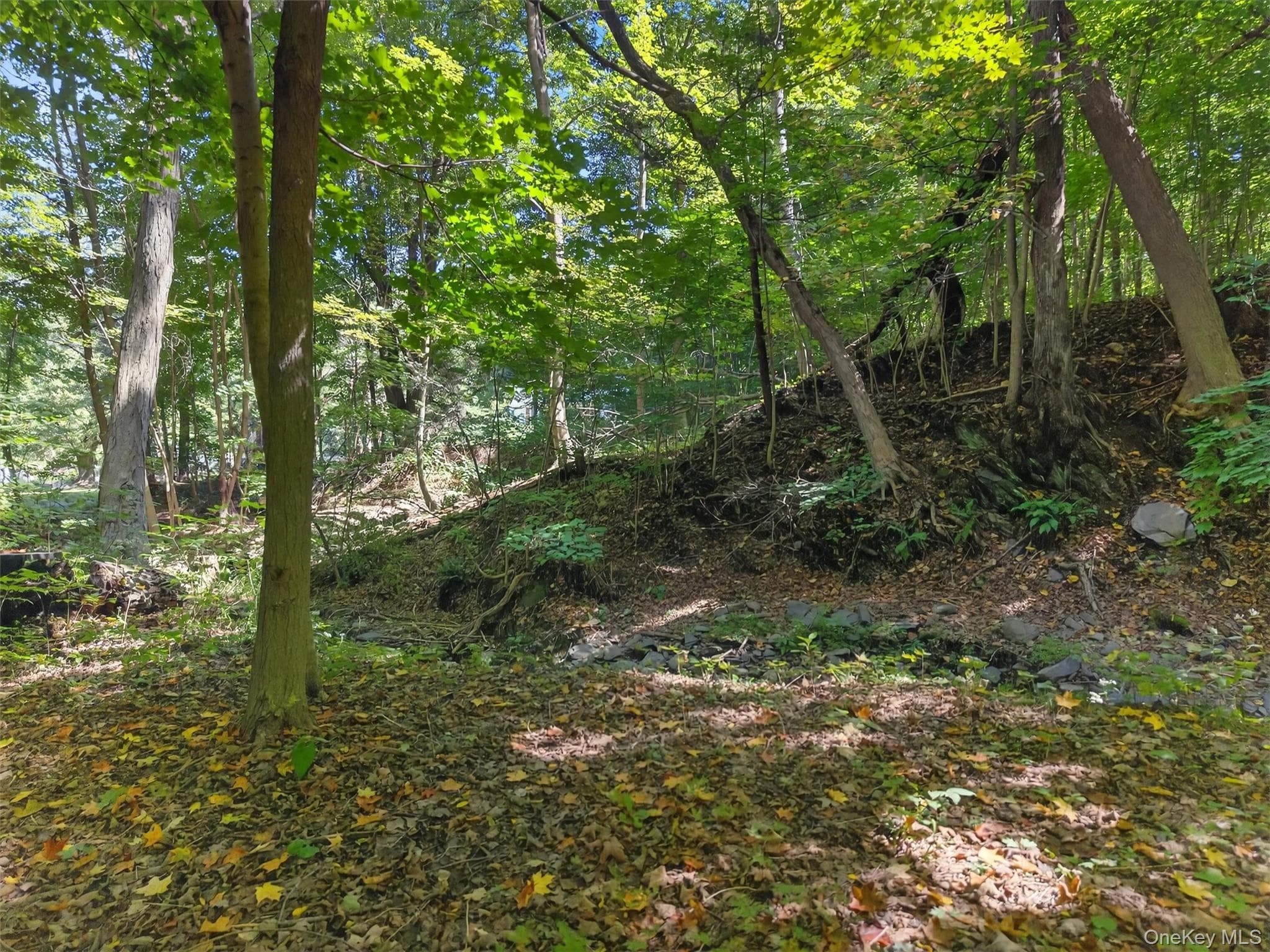 331 Mountain Lodge Road thumbnail 25