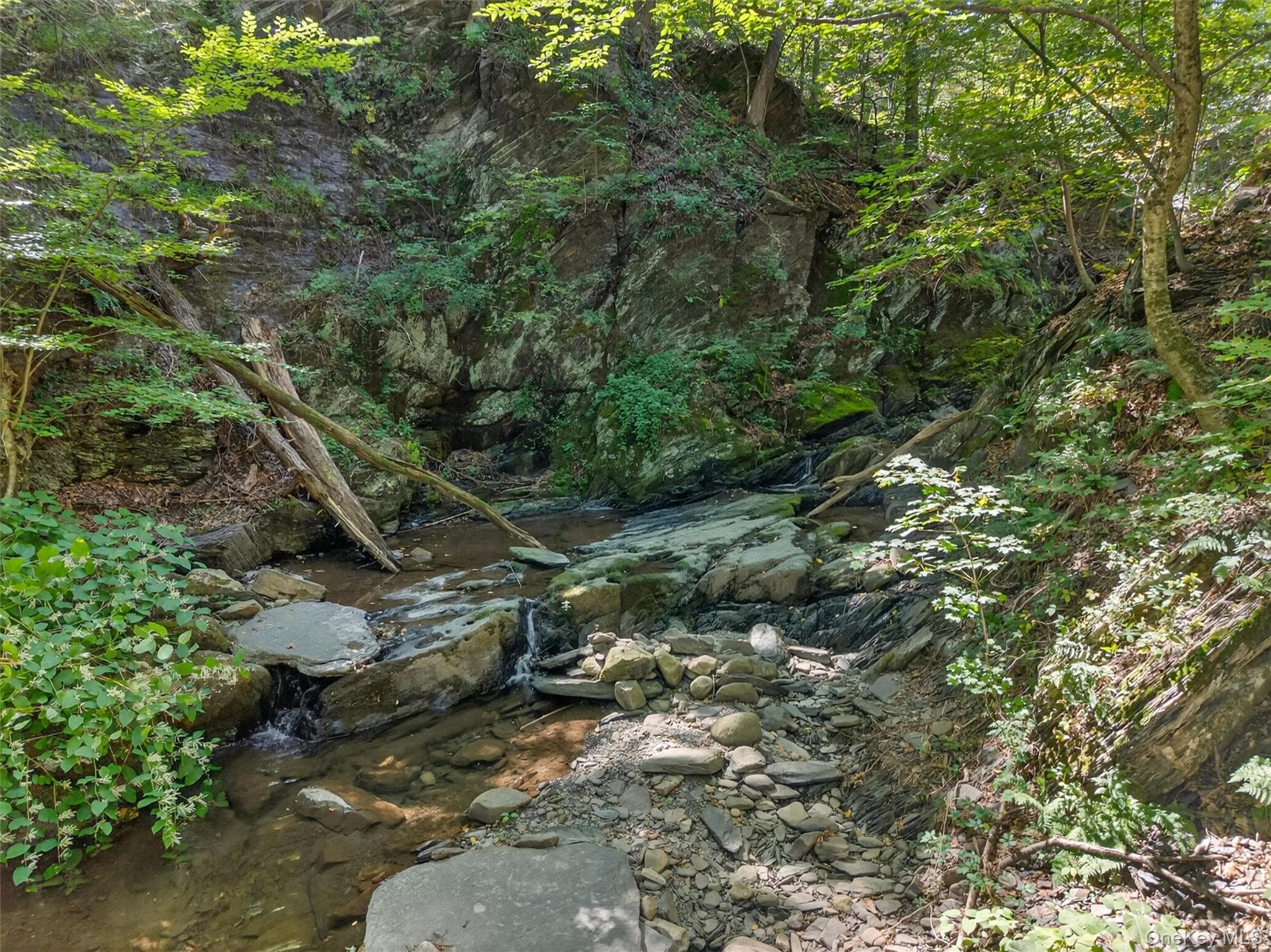331 Mountain Lodge Road thumbnail 18
