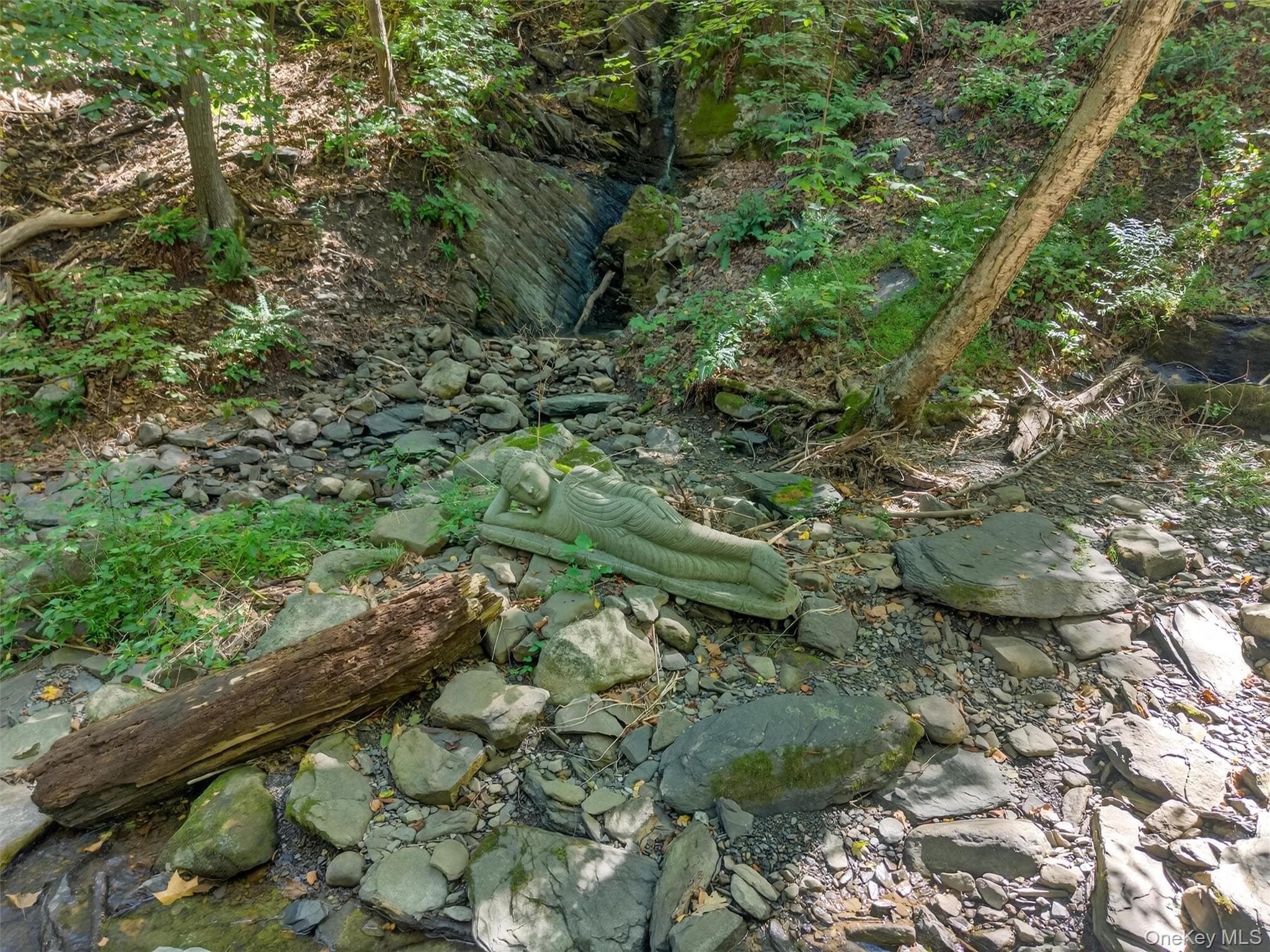 331 Mountain Lodge Road thumbnail 19