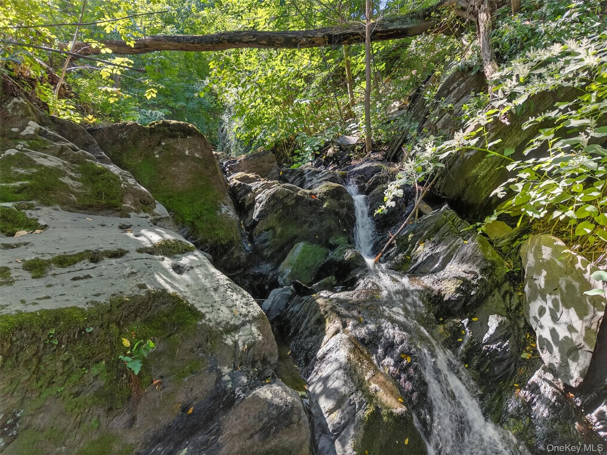 331 Mountain Lodge Road thumbnail 4