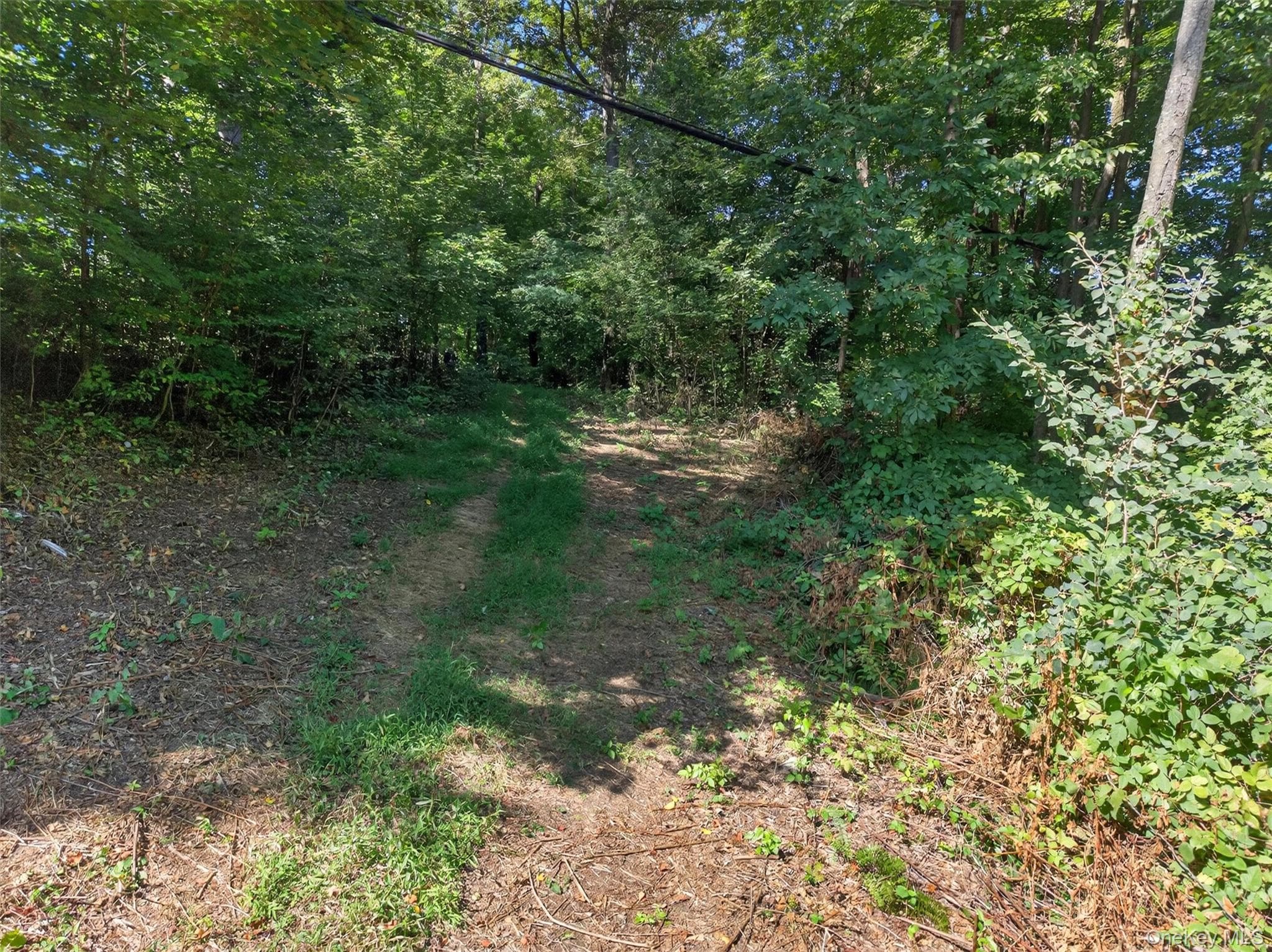 331 Mountain Lodge Road thumbnail 36
