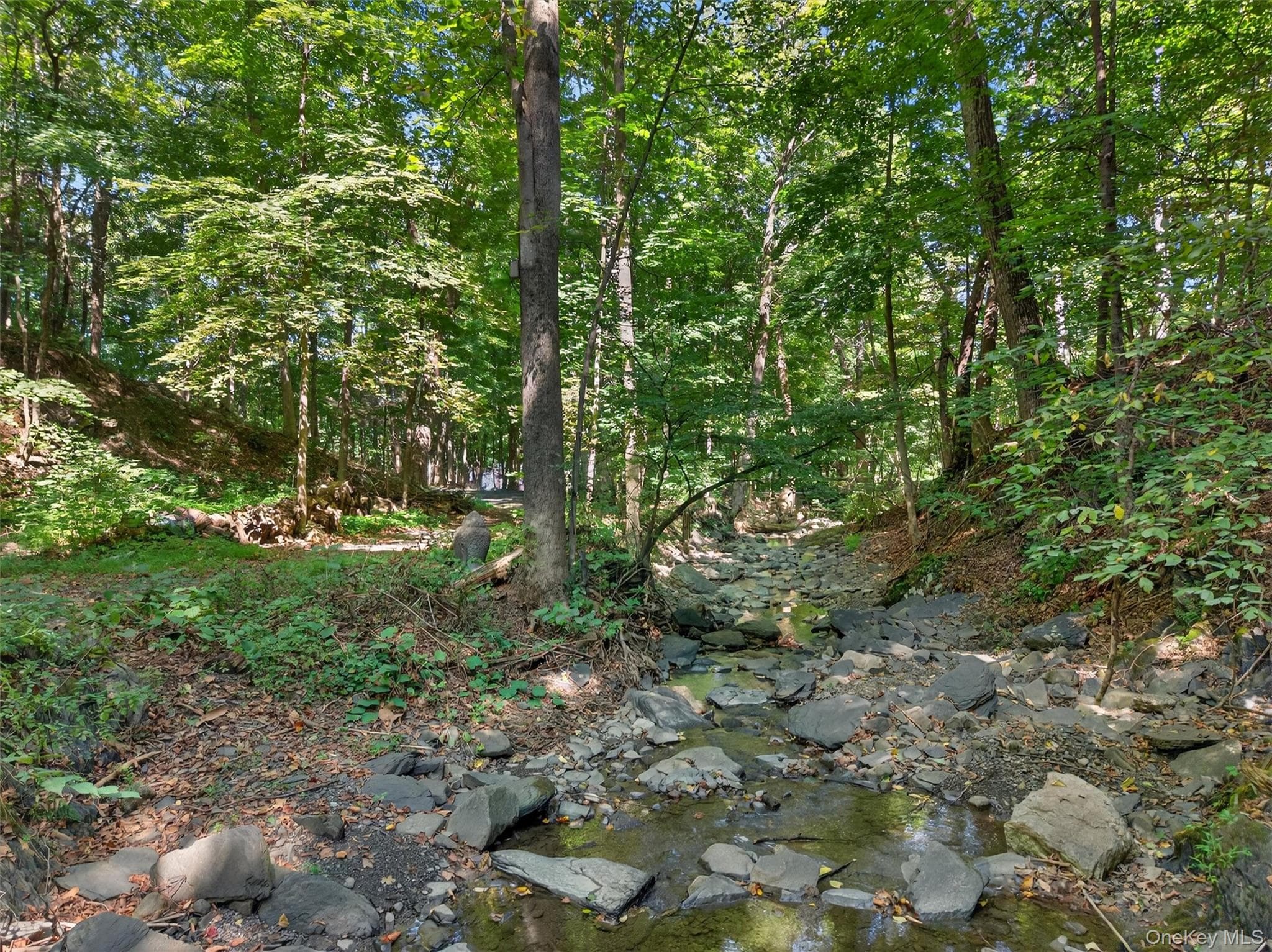 331 Mountain Lodge Road thumbnail 32
