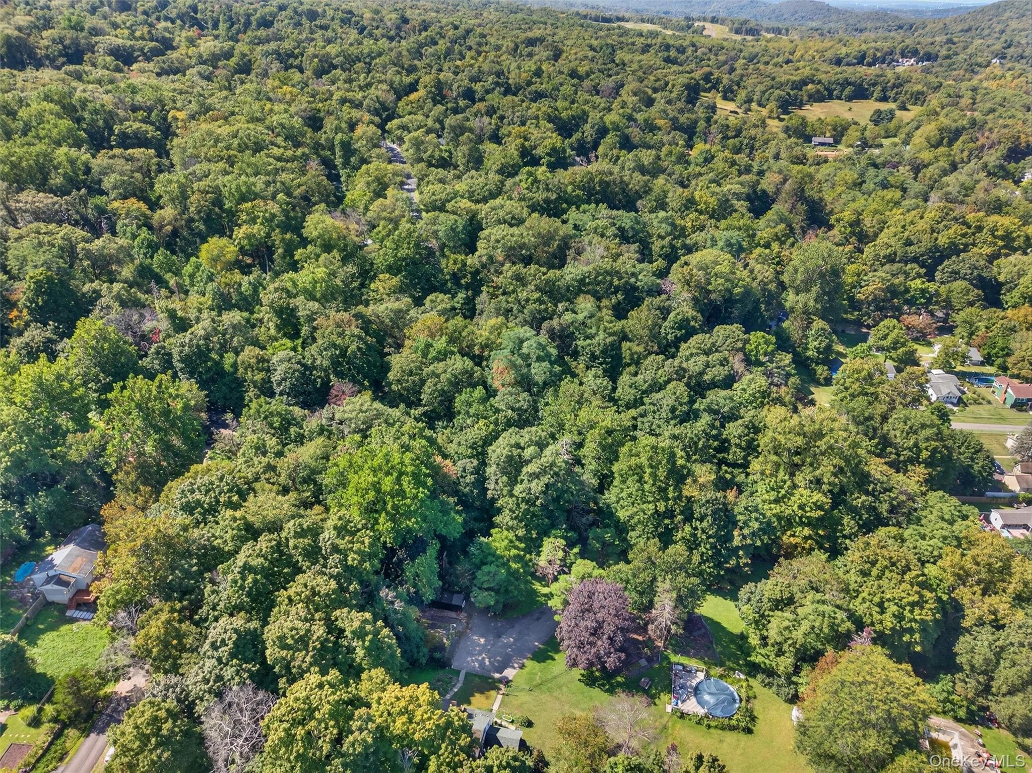 331 Mountain Lodge Road thumbnail 43
