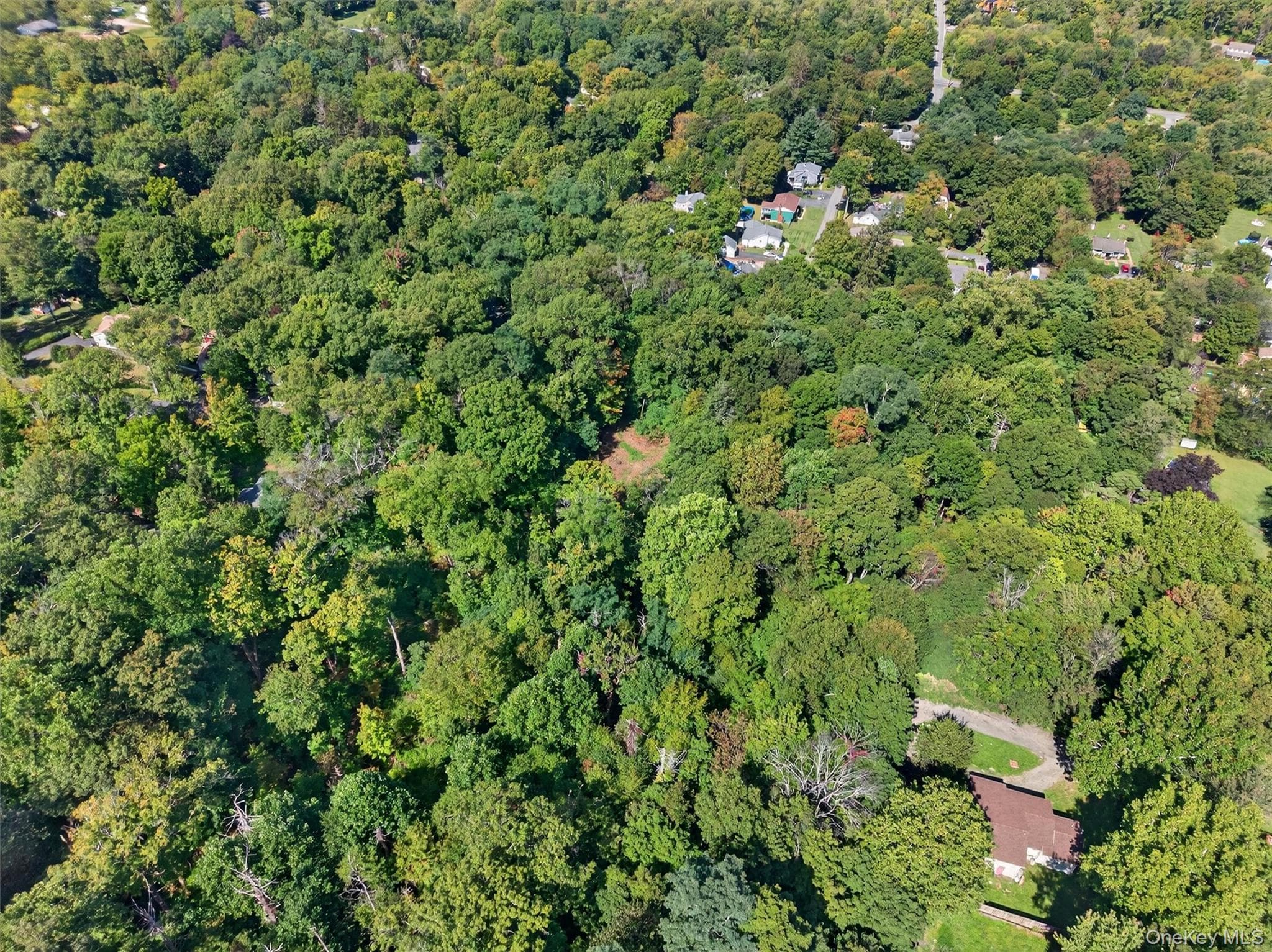 331 Mountain Lodge Road thumbnail 46