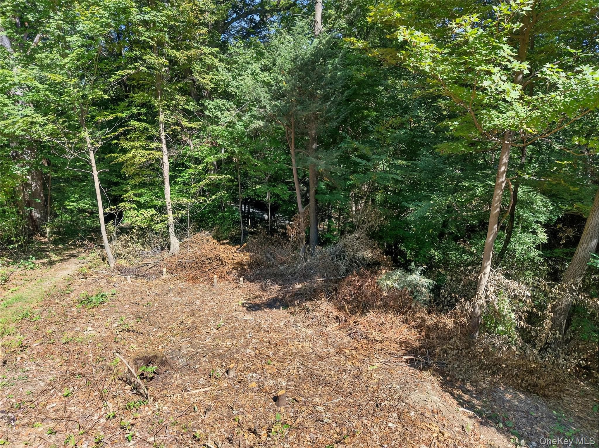 331 Mountain Lodge Road thumbnail 38
