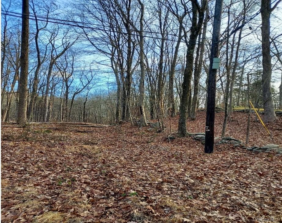 Laurie Lane, South Salem