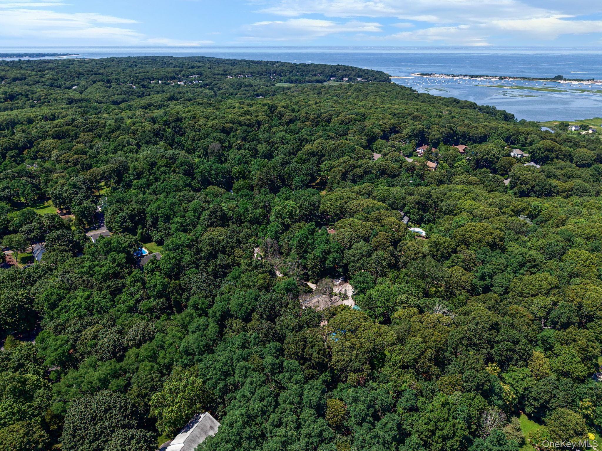77 Shore Road thumbnail 4