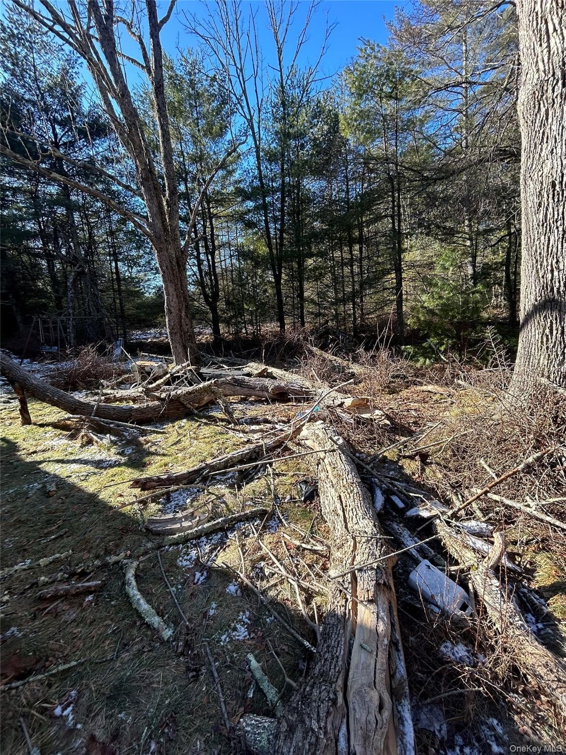 92 Whitehead Road thumbnail 21