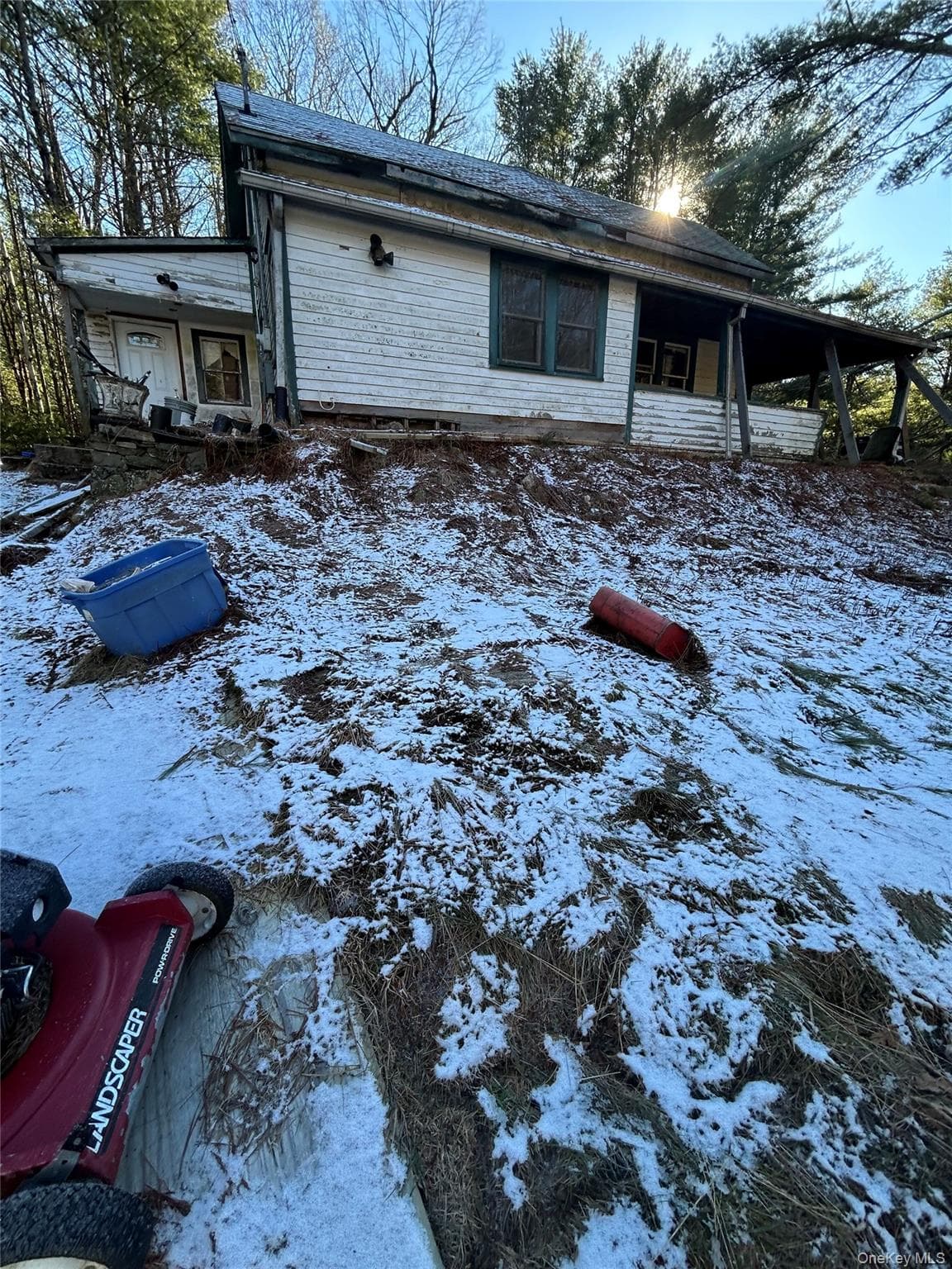 92 Whitehead Road thumbnail 4