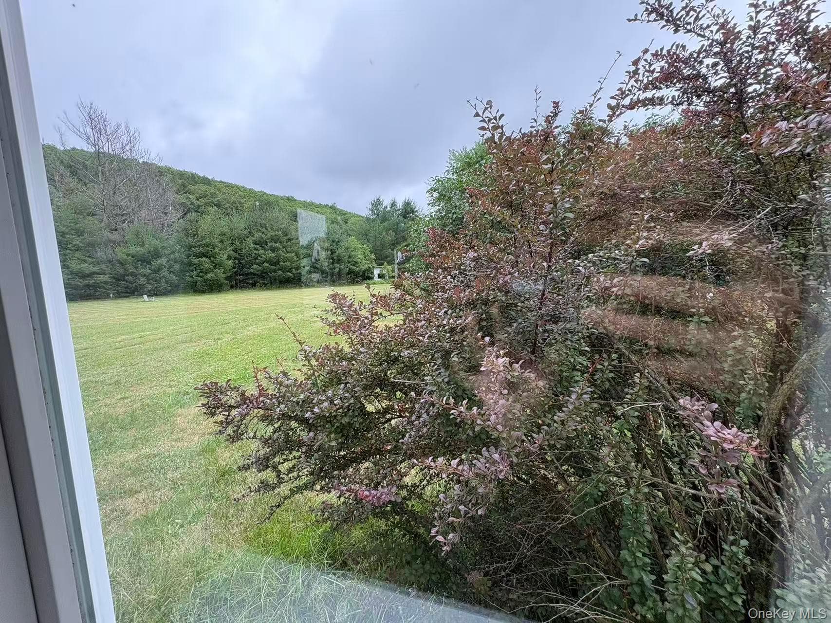 12 Pine Drive thumbnail 3