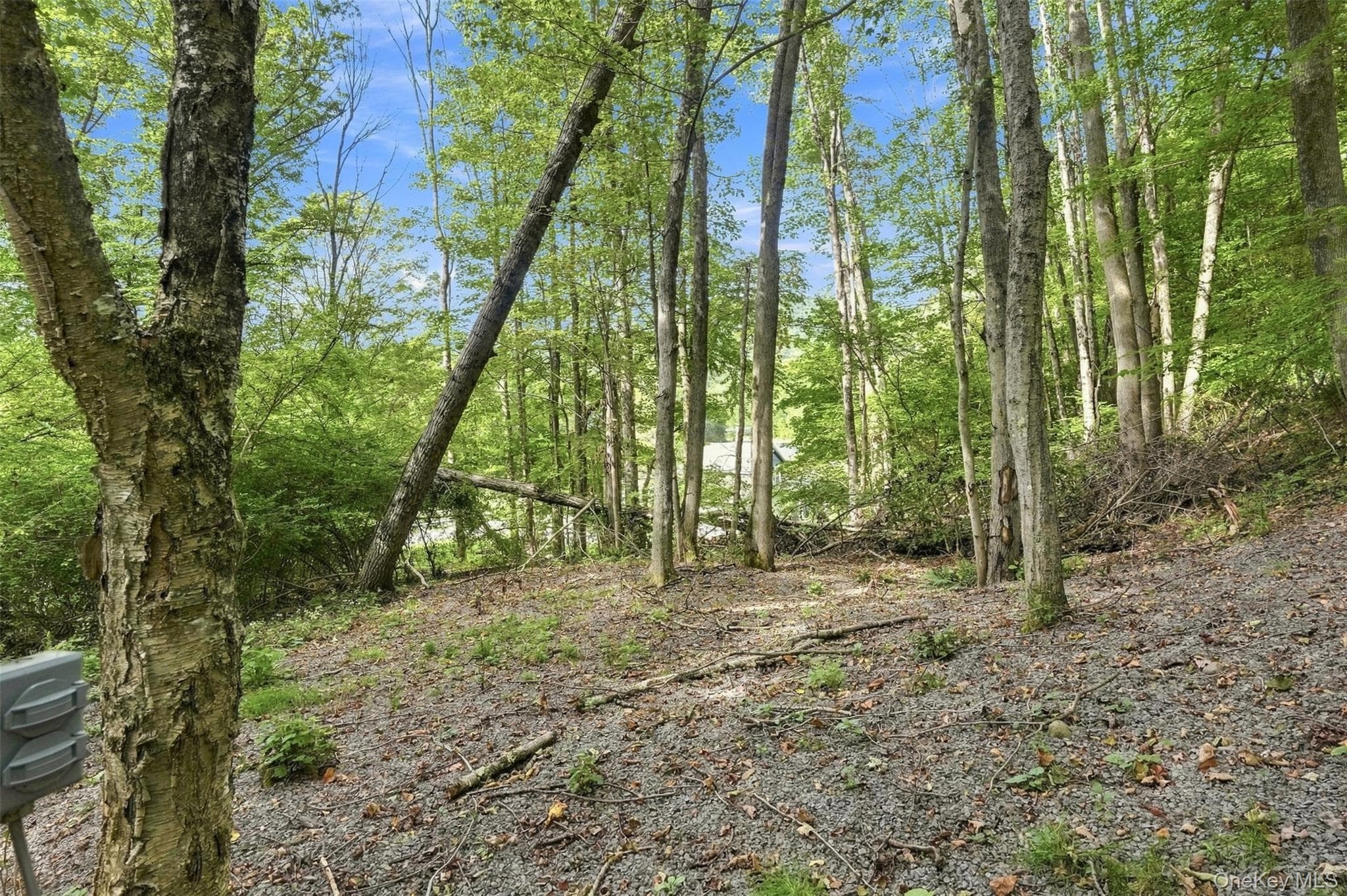 14483 County Road 17 thumbnail 42