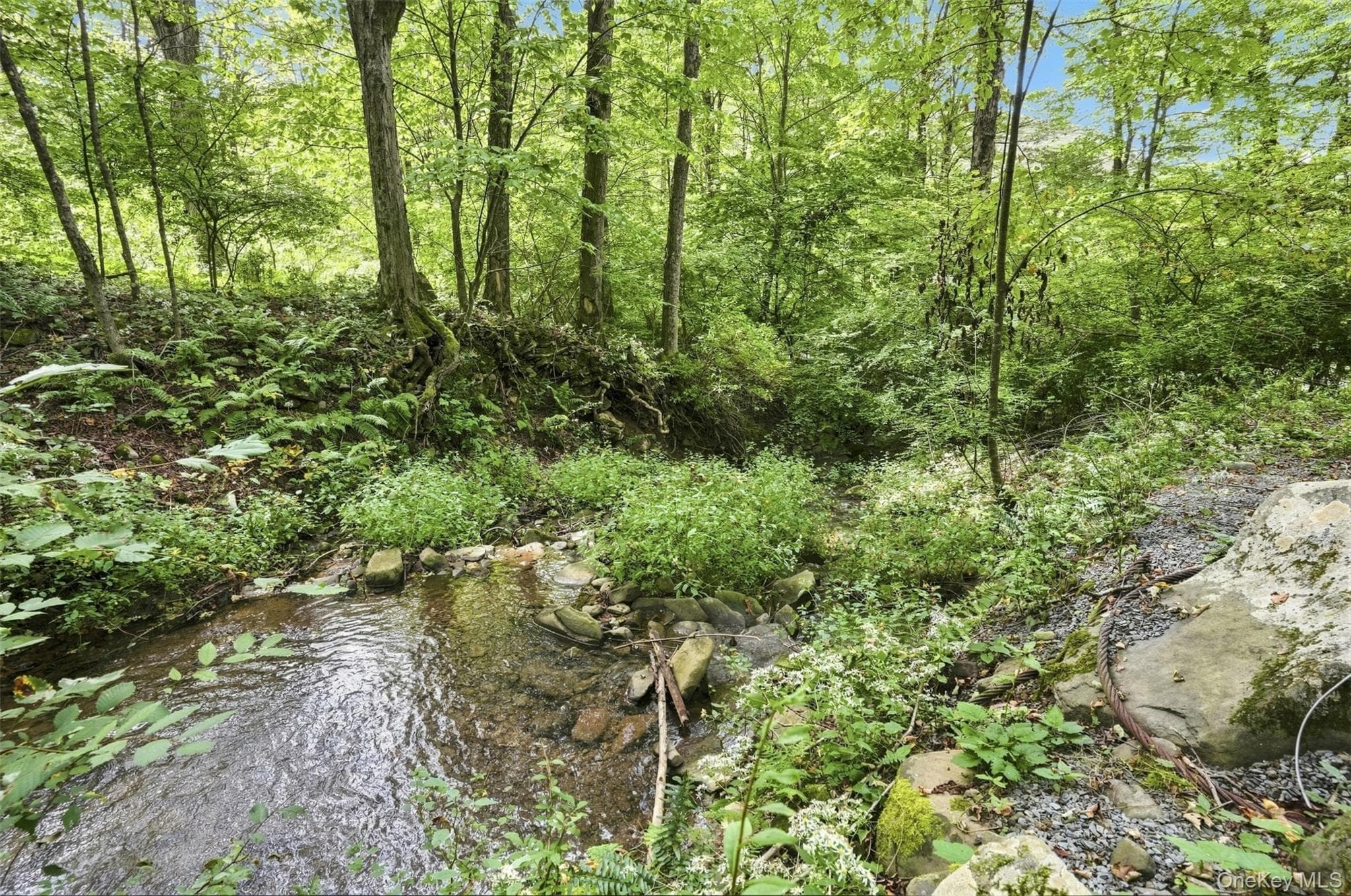 14483 County Road 17 thumbnail 40