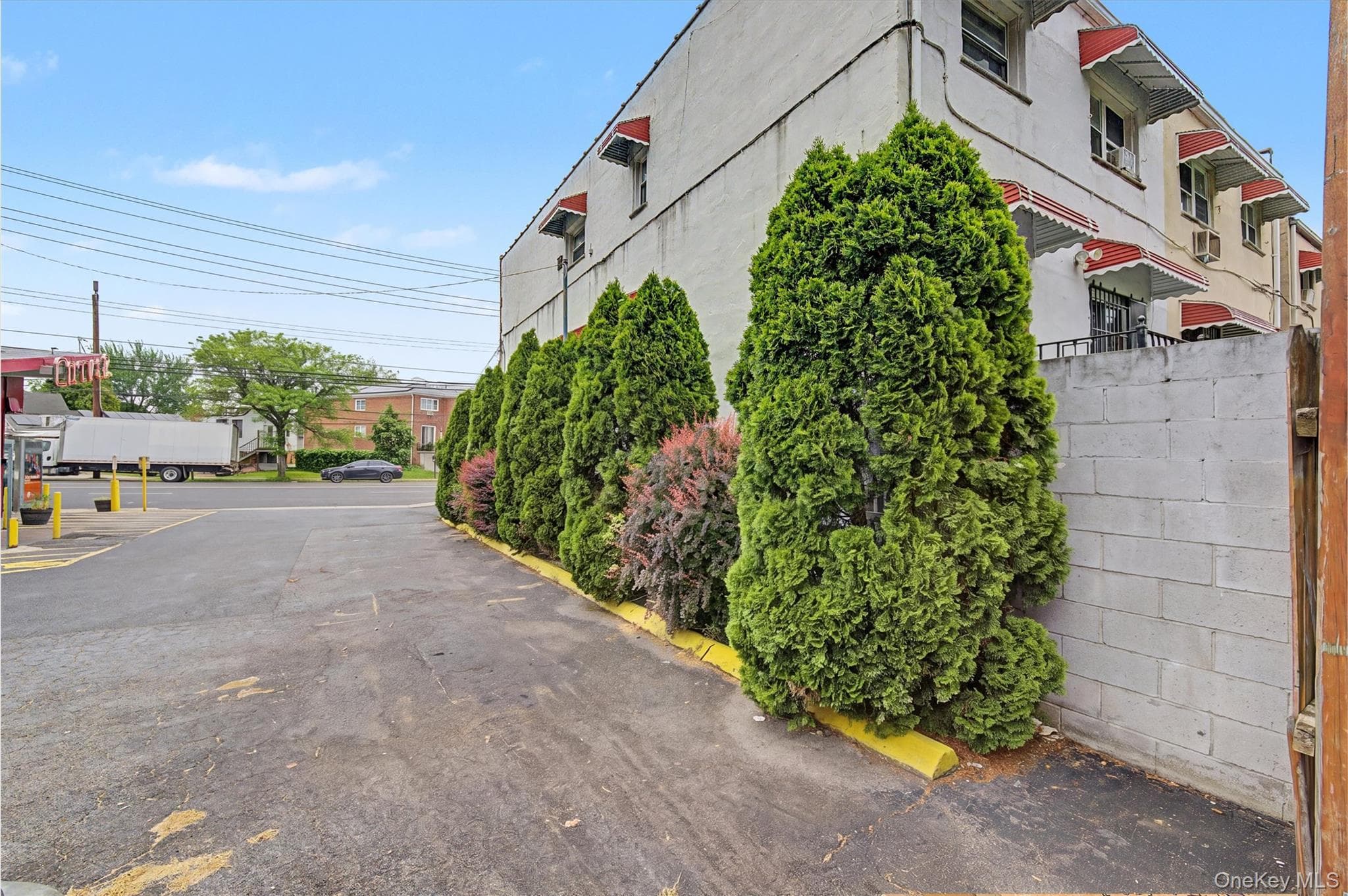 1010 E 233rd Street thumbnail 25