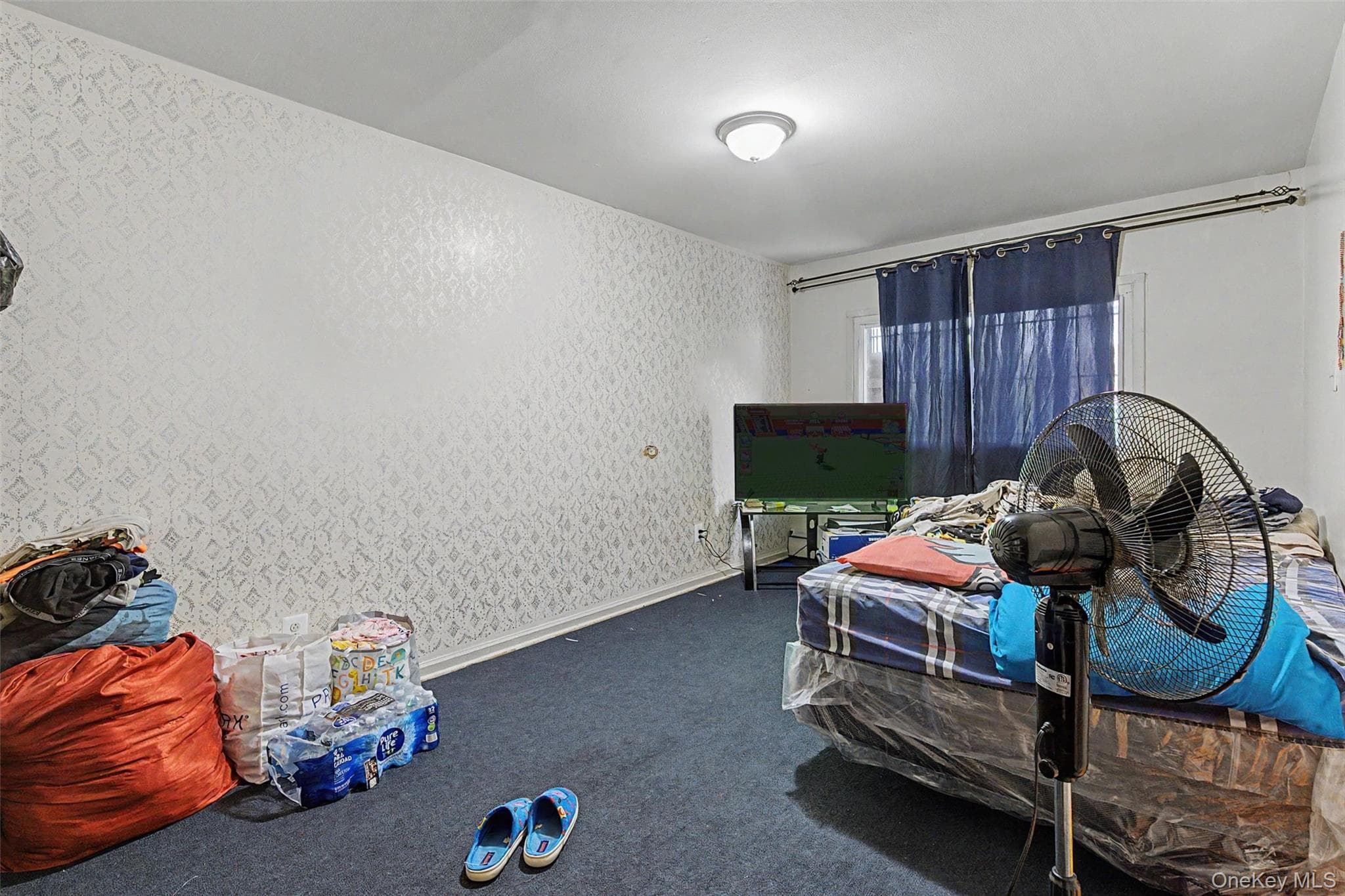 1010 E 233rd Street thumbnail 18