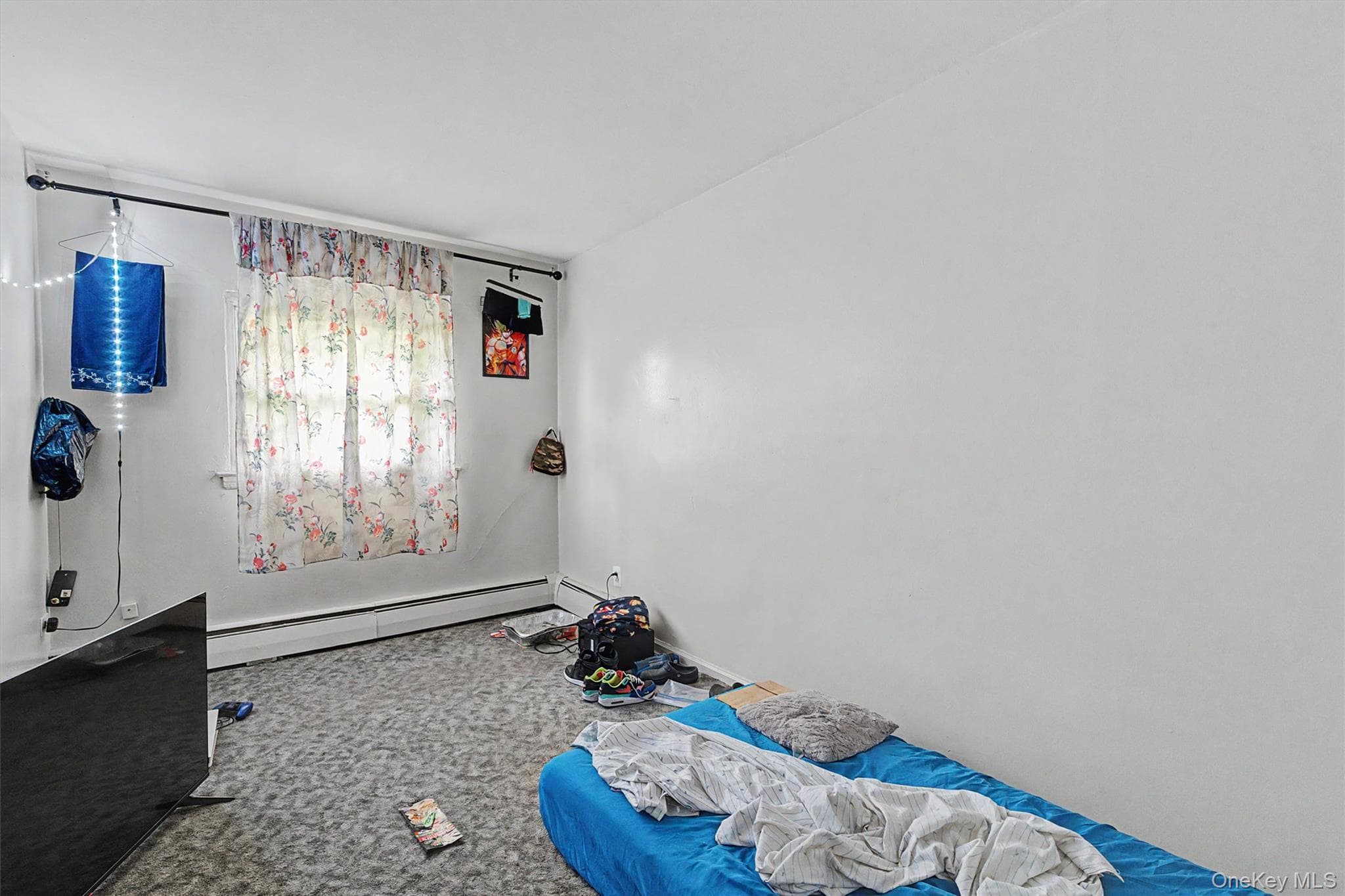 1010 E 233rd Street thumbnail 17
