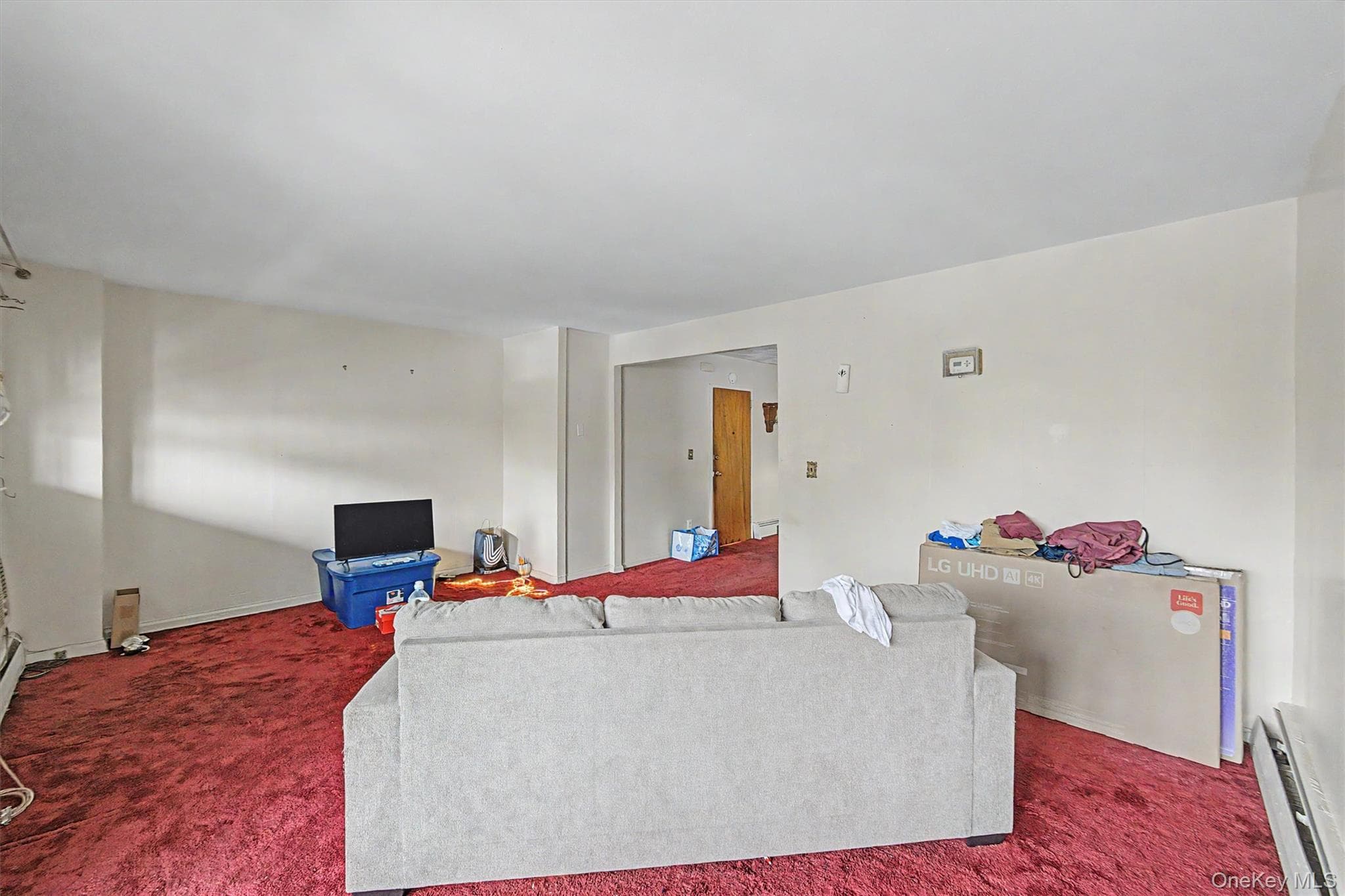 1010 E 233rd Street thumbnail 9