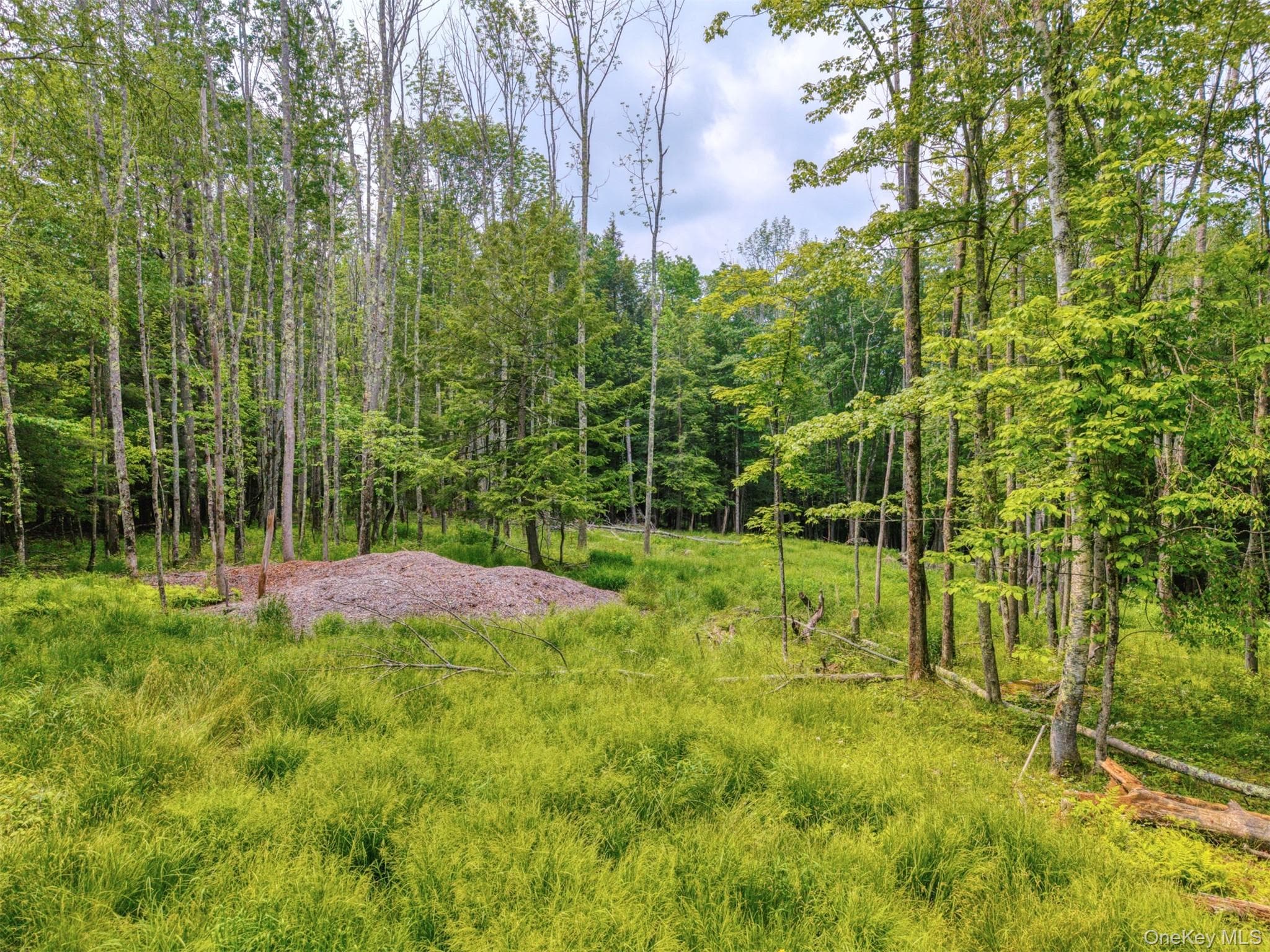TBD Boulder Brook Lot B12 Road thumbnail 10