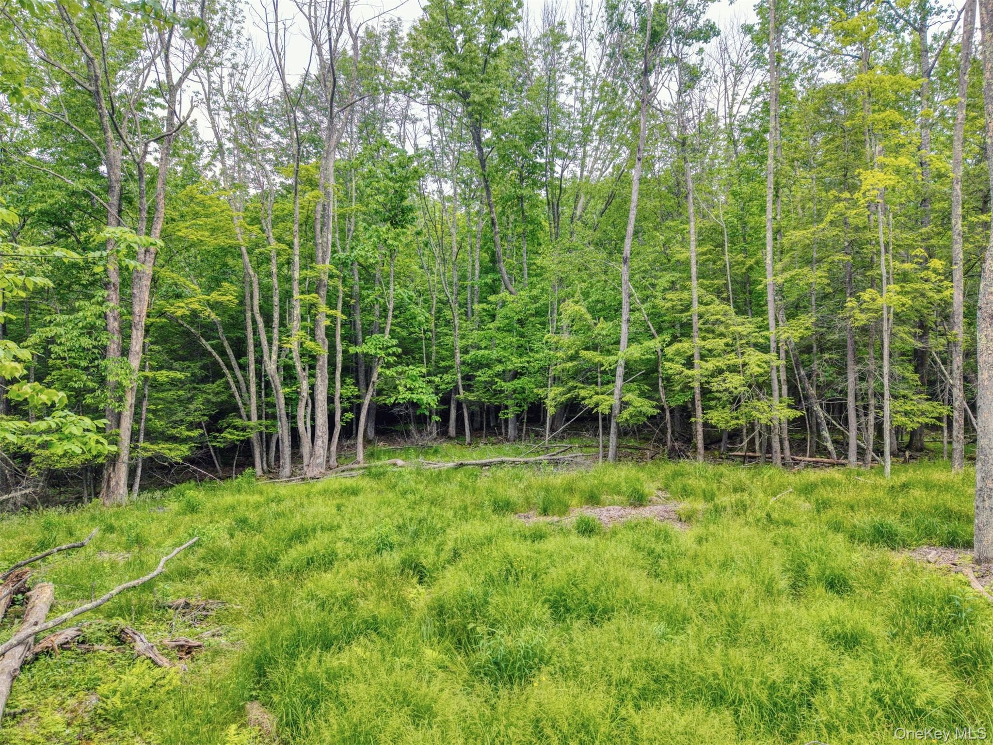 TBD Boulder Brook Lot B12 Road thumbnail 7