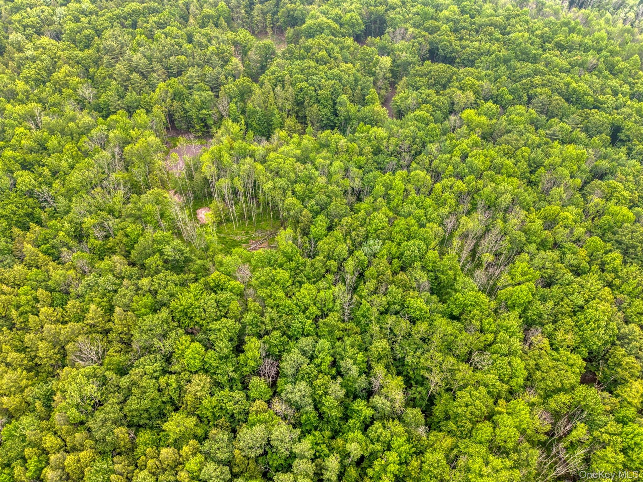 TBD Boulder Brook Lot B12 Road thumbnail 32
