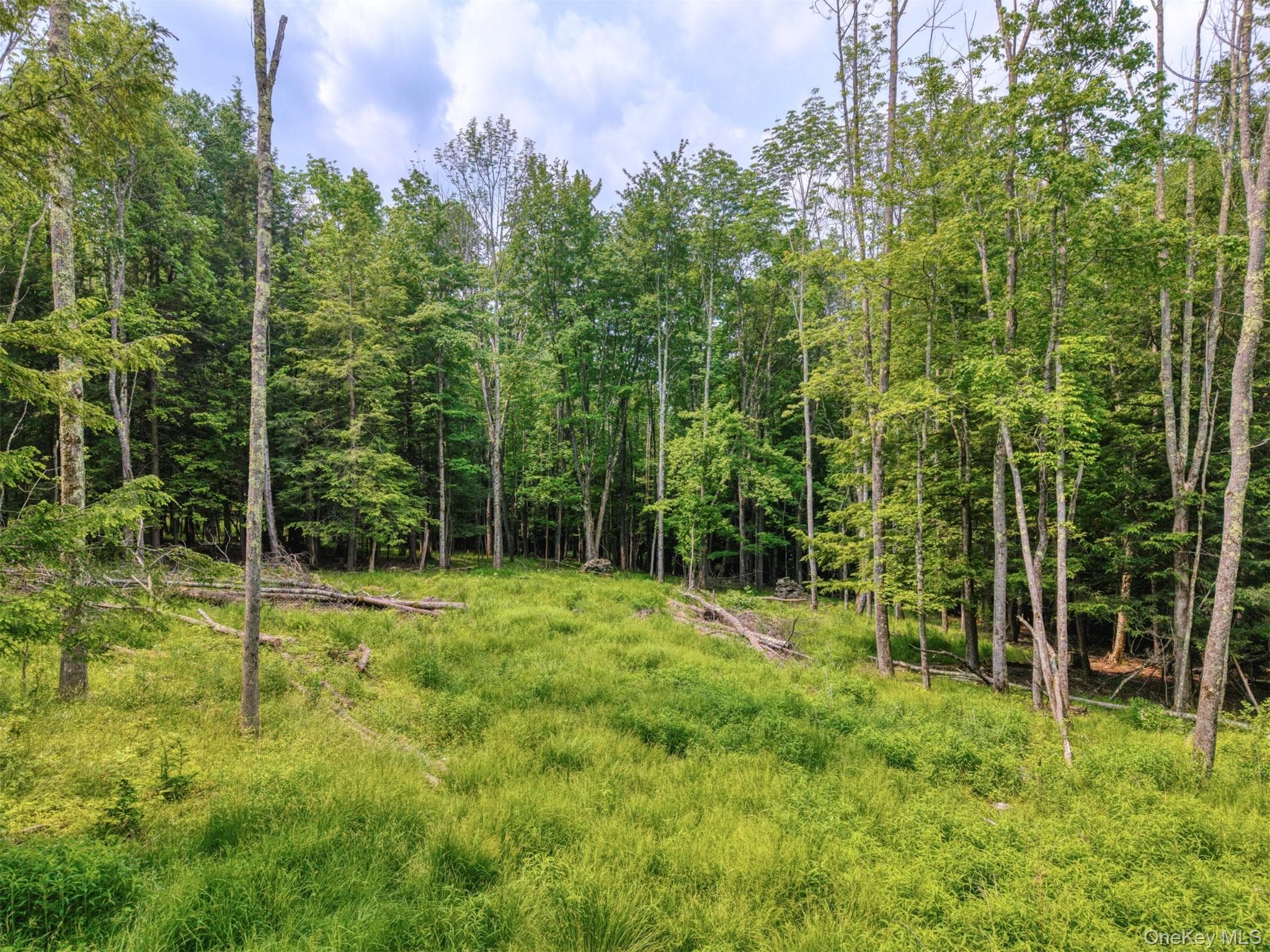 TBD Boulder Brook Lot B12 Road thumbnail 5
