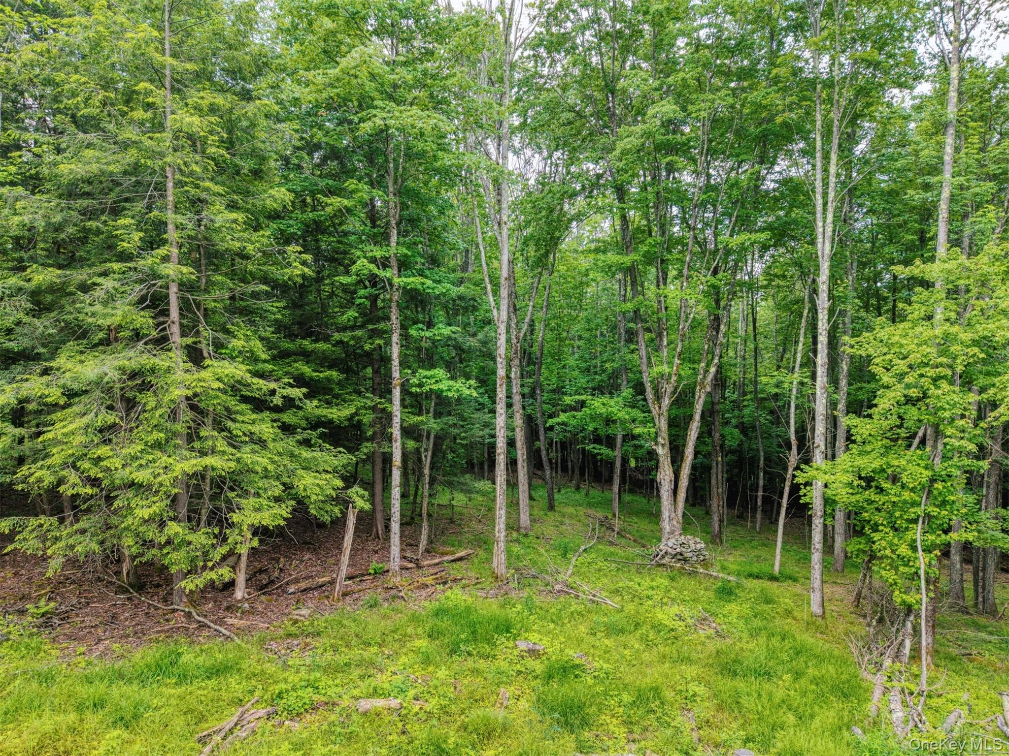TBD Boulder Brook Lot B12 Road thumbnail 6
