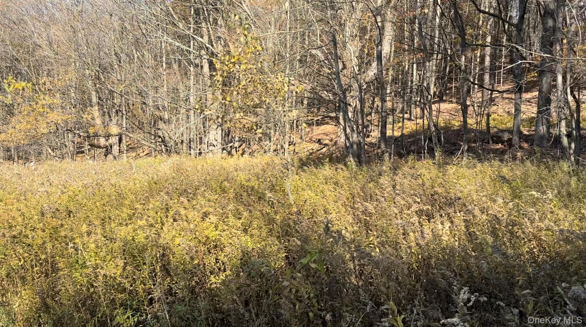 Chaffee Road thumbnail 5