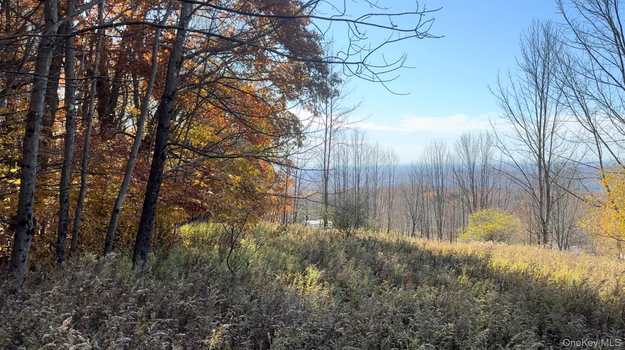 Chaffee Road, Liberty