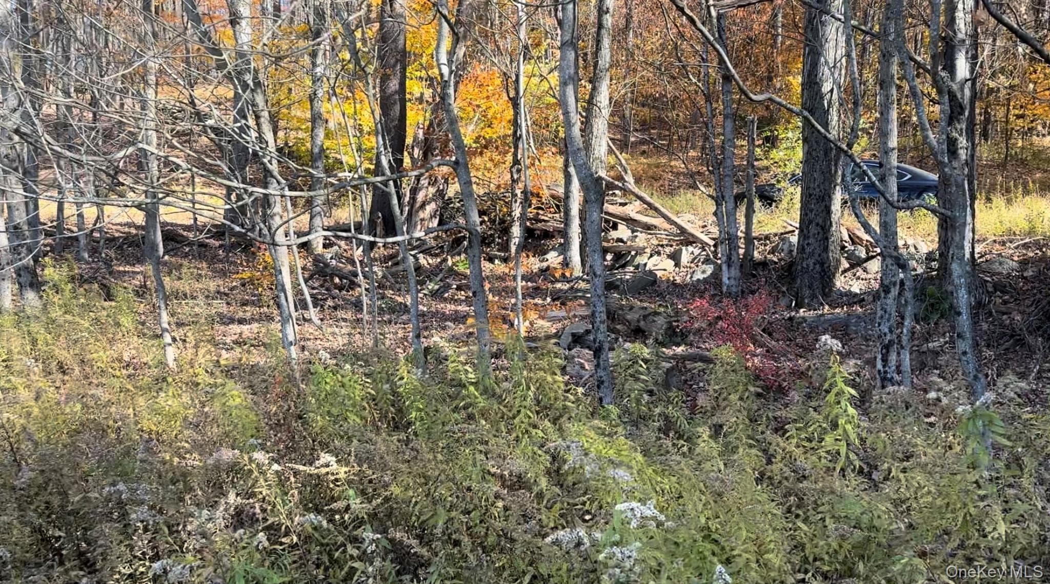 Chaffee Road thumbnail 6