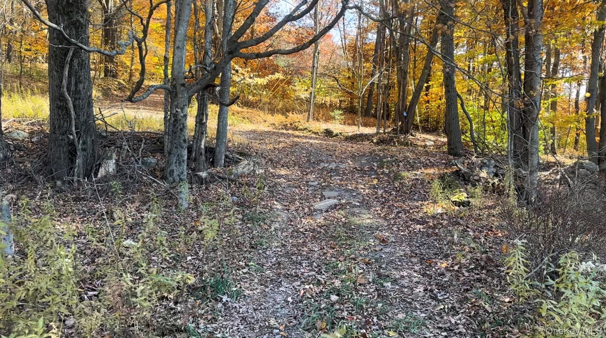 Chaffee Road thumbnail 7