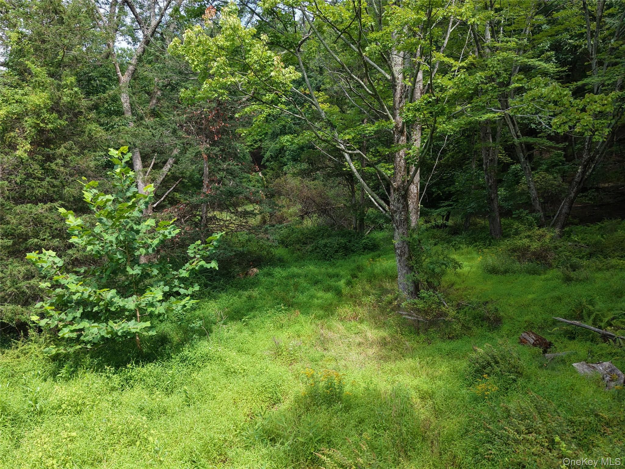 Twinshaven Road thumbnail 12