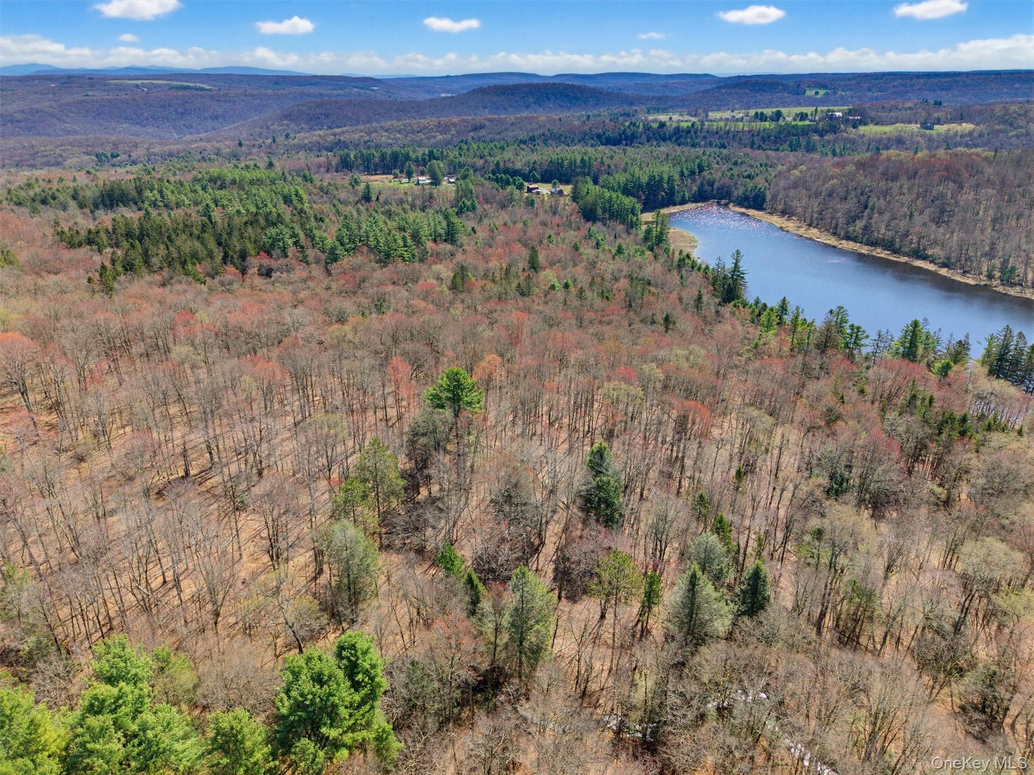 85 Lenape Lake Road thumbnail 7