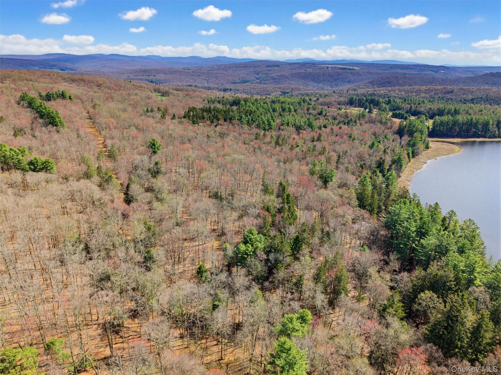 85 Lenape Lake Road thumbnail 4