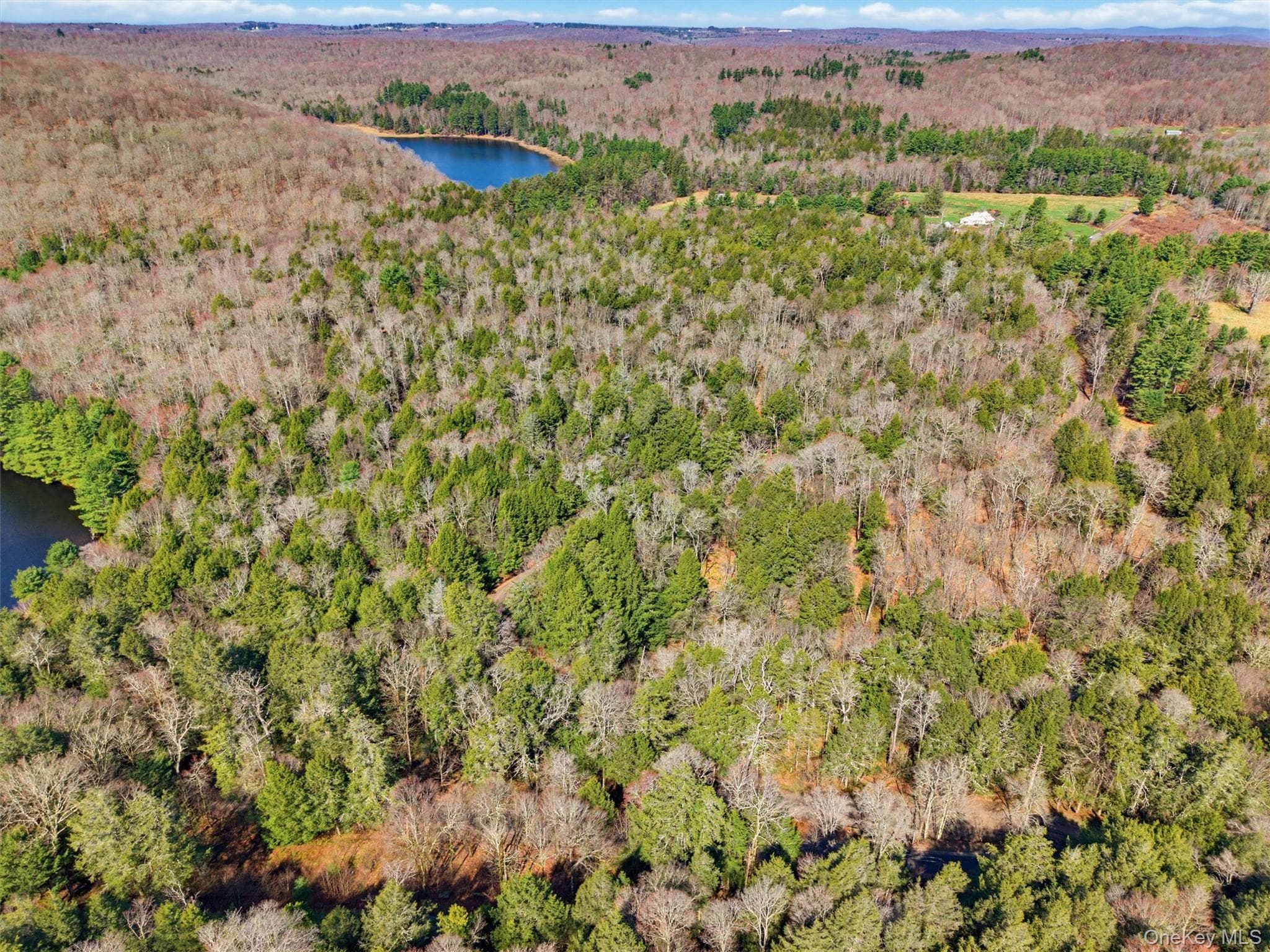 85 Lenape Lake Road thumbnail 8