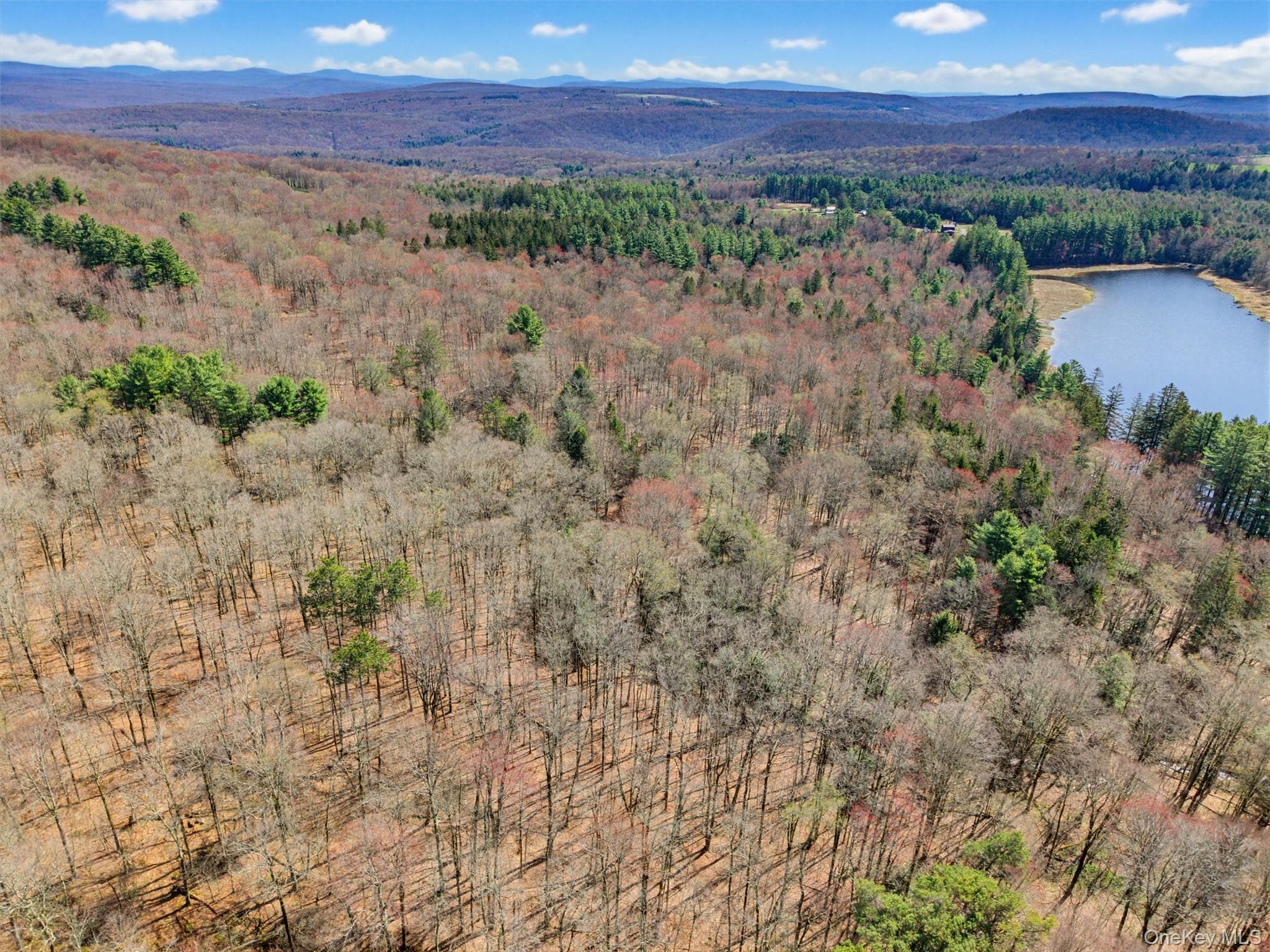 85 Lenape Lake Road thumbnail 5