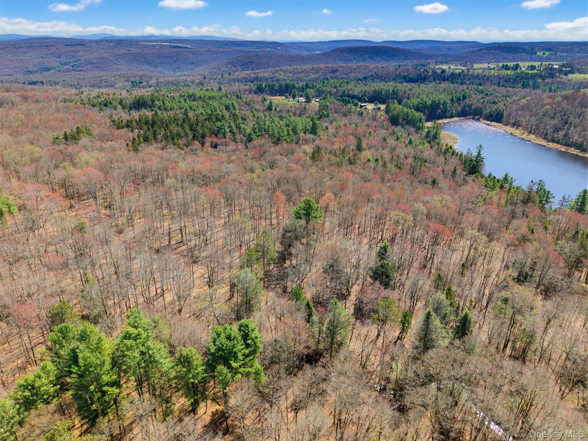 85 Lenape Lake Road thumbnail 6