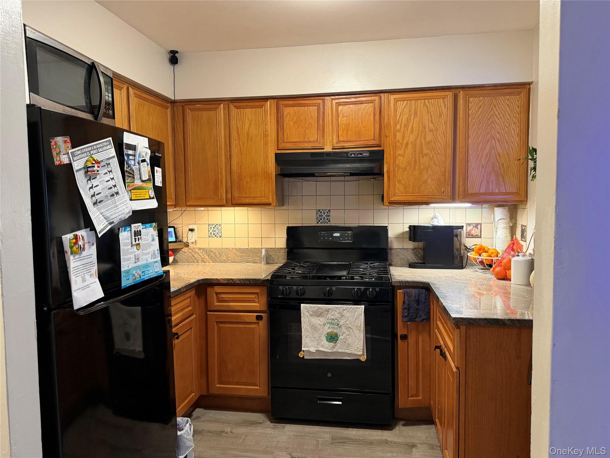 757 Elton Avenue thumbnail 19