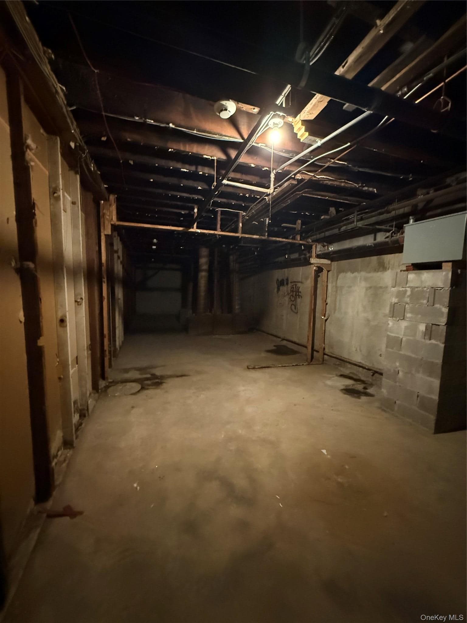 445 Plandome RD thumbnail 16